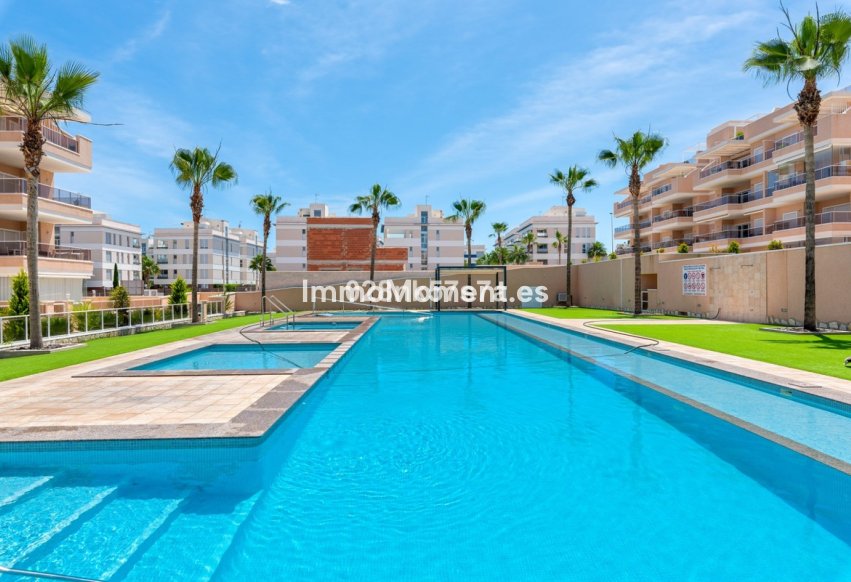 Reventa - Apartamento - Orihuela - Los Dolses