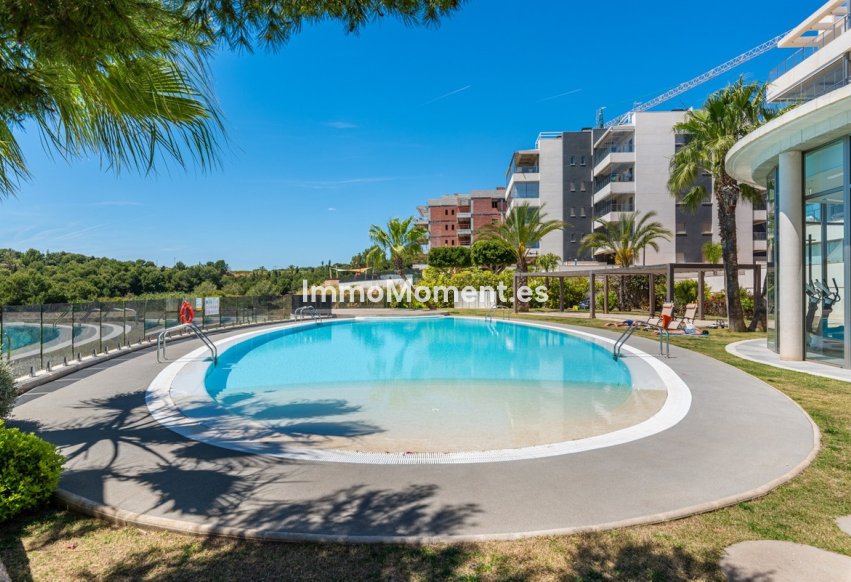 Reventa - Apartamento - Orihuela - Los Dolses