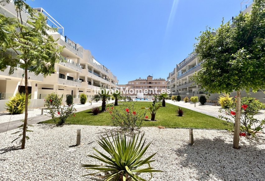 Reventa - Apartamento - Orihuela - Los Dolses