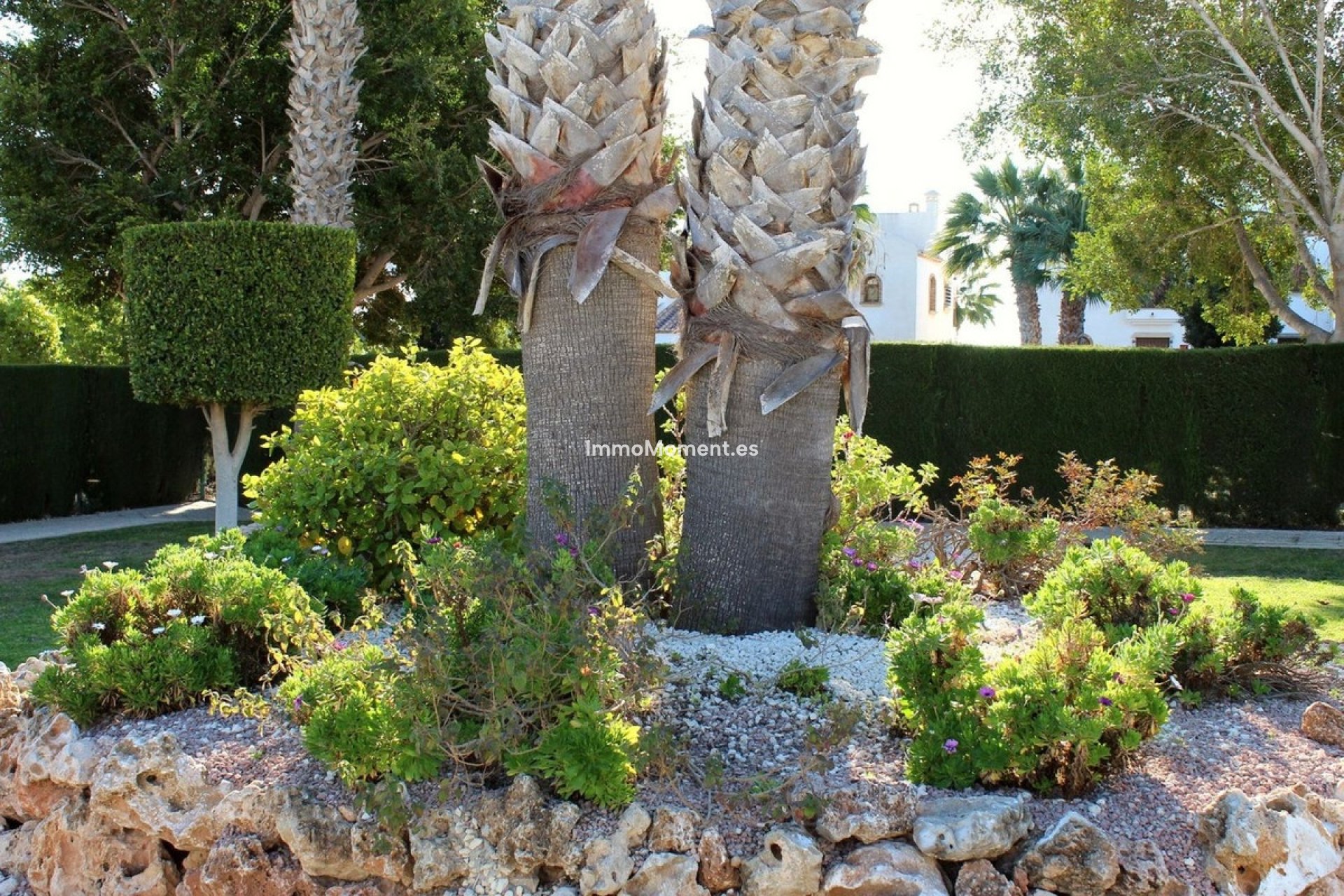 Reventa - Apartamento - Orihuela - Villamartin