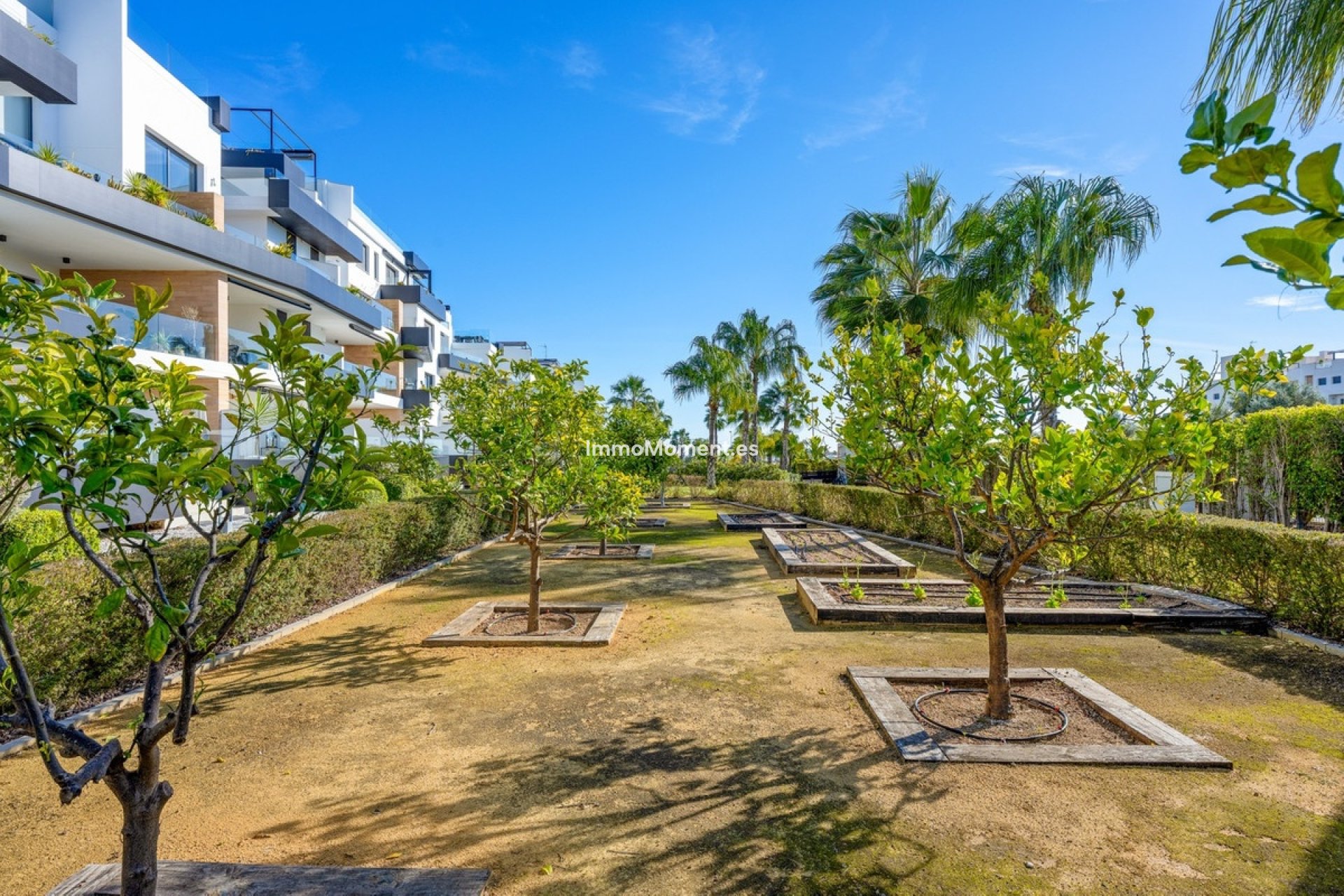 Reventa - Apartamento - Orihuela - Villamartín