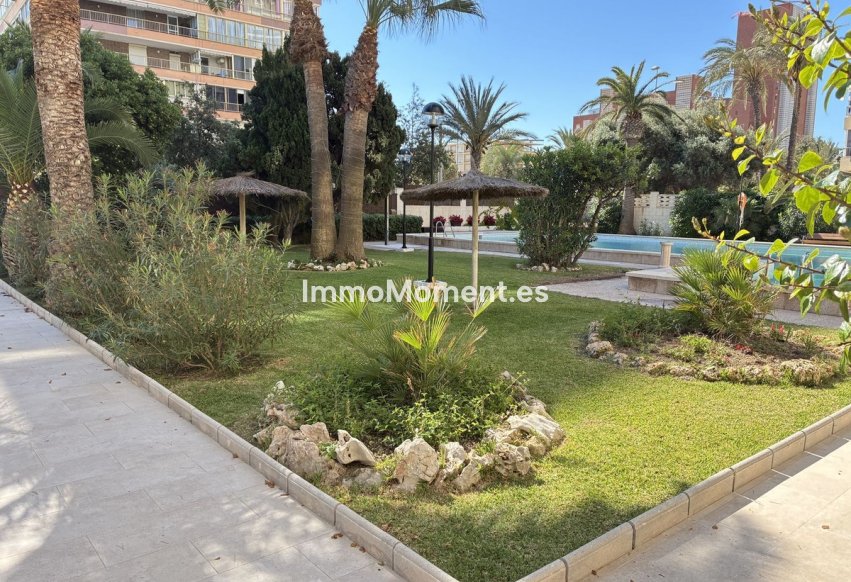 Reventa - Apartamento - San Juan de Alicante - Playa de San Juan