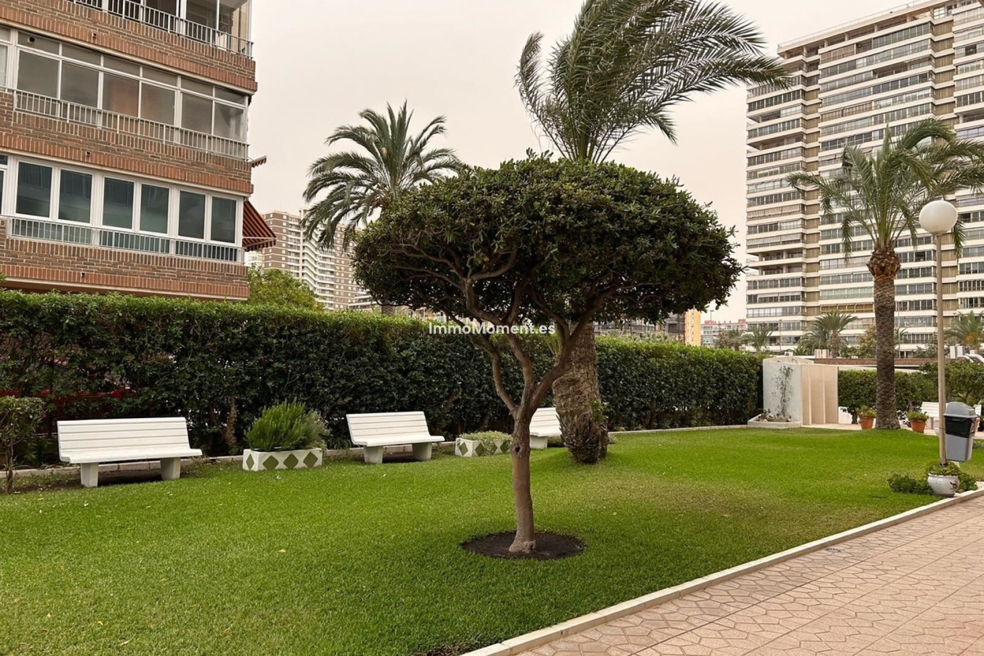 Reventa - Apartamento - San Juan de Alicante - Playa de San Juan
