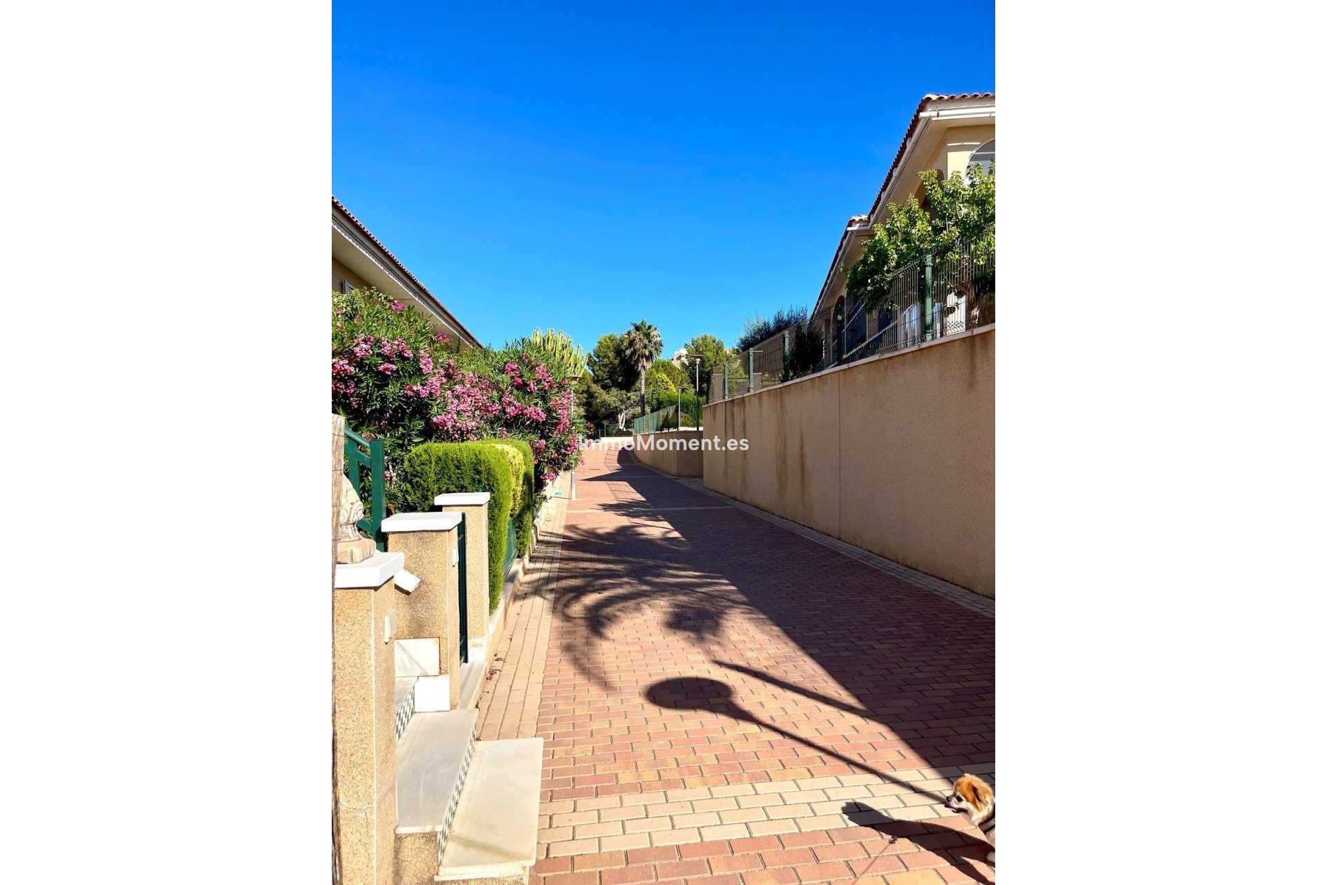 Reventa - Apartamento - Santa Pola - Gran Alacant