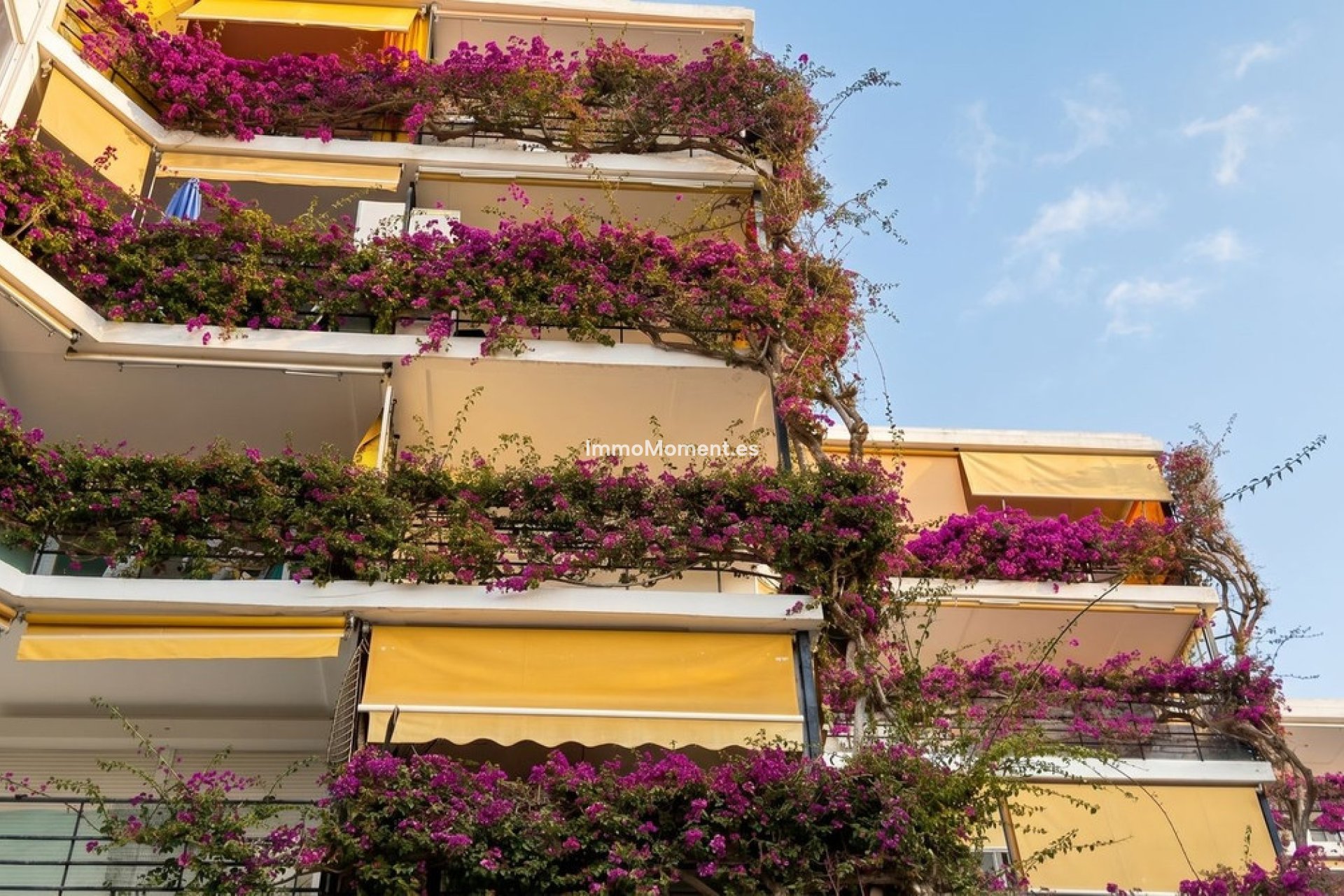 Reventa - Apartamento - Torremolinos - La Carihuela