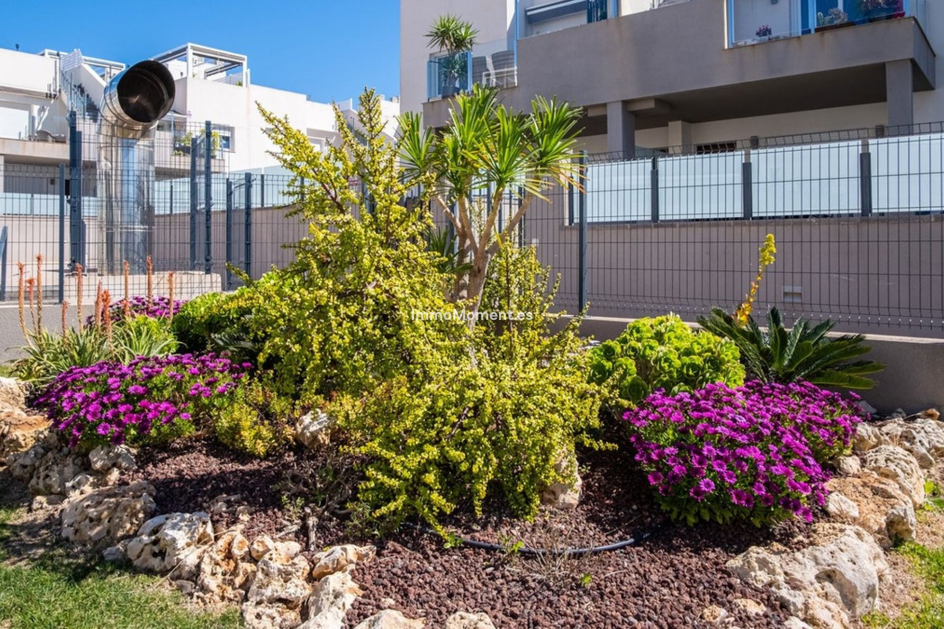 Reventa - Apartamento - Torrevieja - Aguas Nuevas