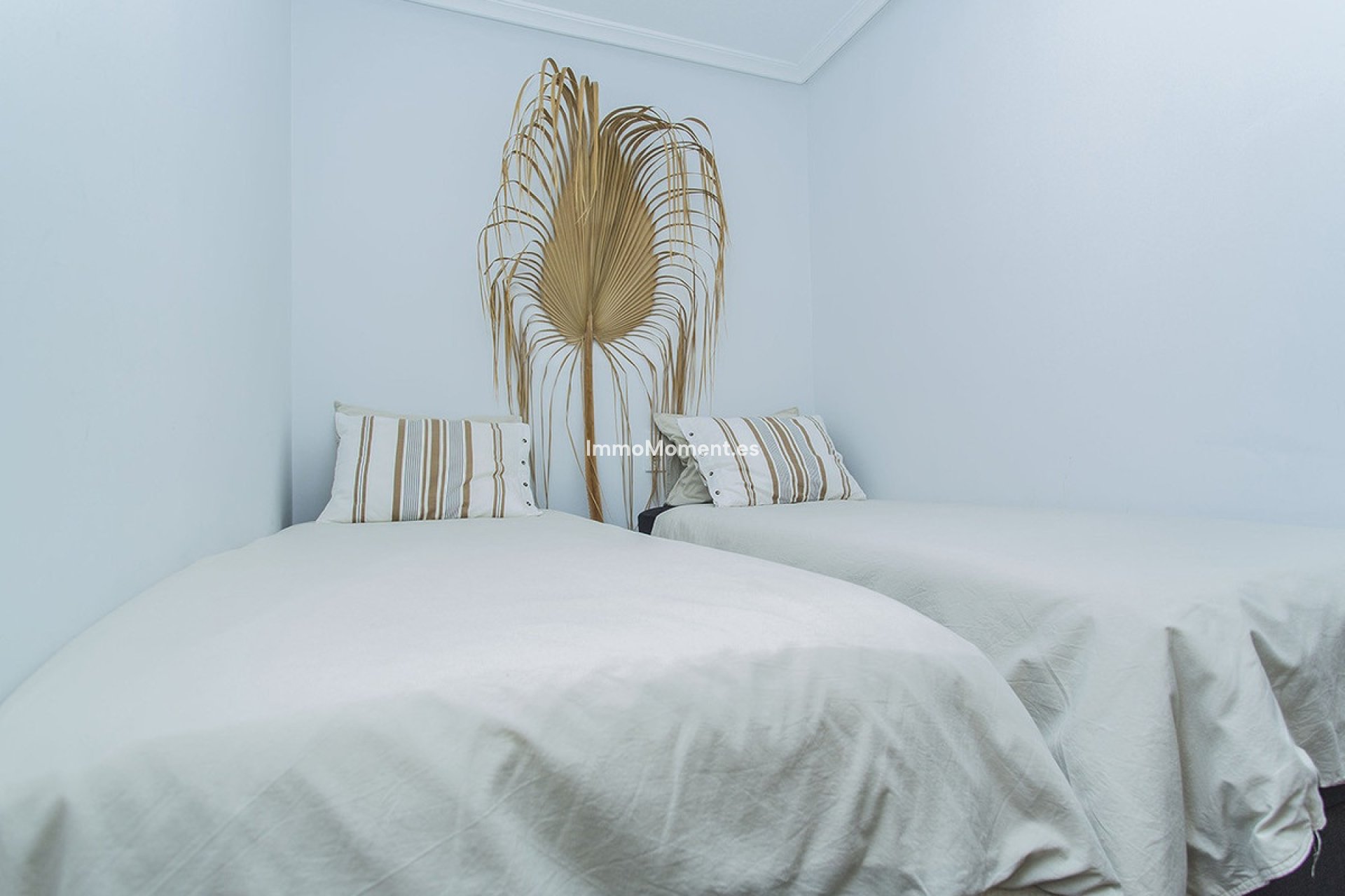 Reventa - Apartamento - Torrevieja - La Mata