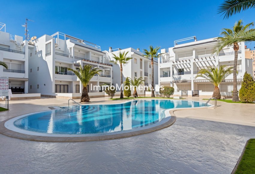 Reventa - Apartamento - Torrevieja - Torrevieja Centro