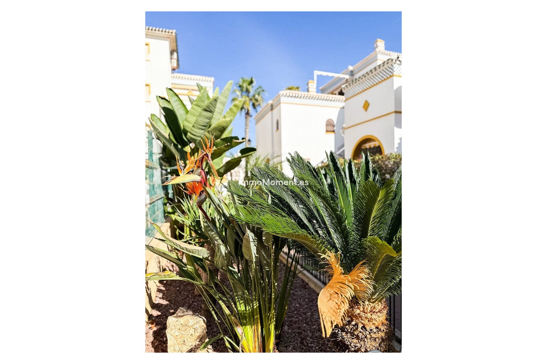 Reventa - Apartamento - Torrevieja - Torrevieja Centro