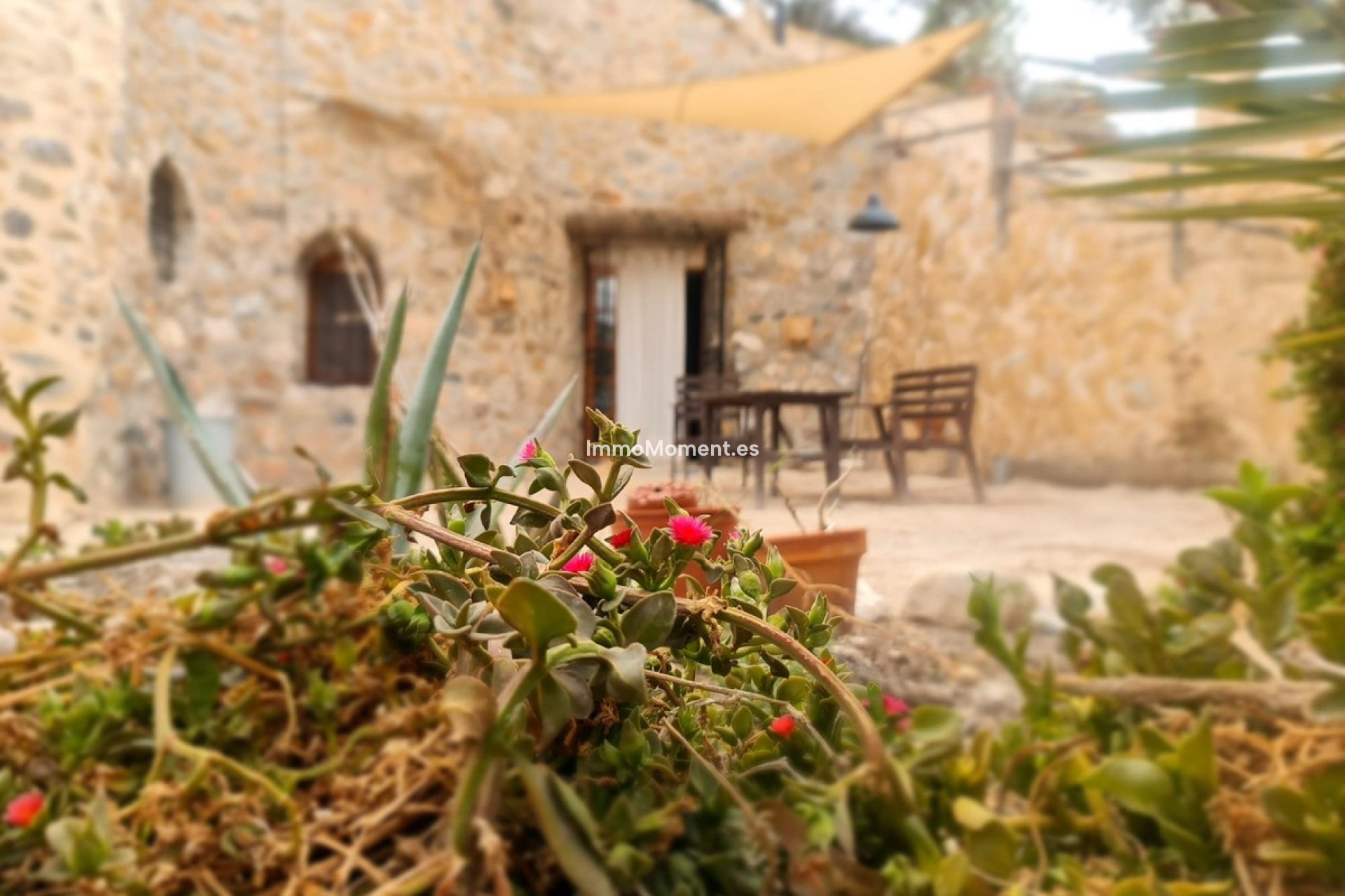 Reventa - Casa de campo - Abanilla - Abanilla Centro