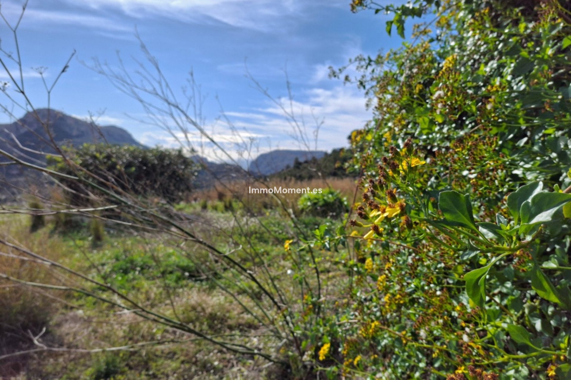 Reventa - Casa de campo - Benissa - Benissa Centro