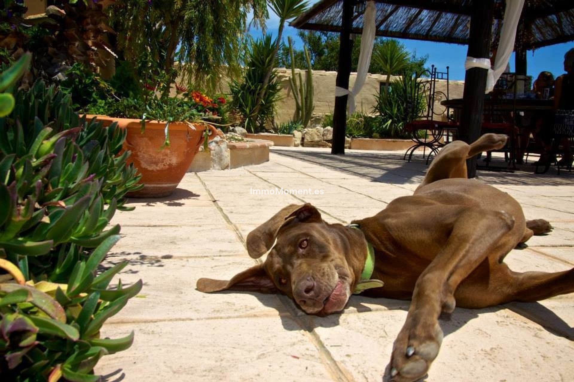 Reventa - Casa de campo - Benissa - Benissa Centro