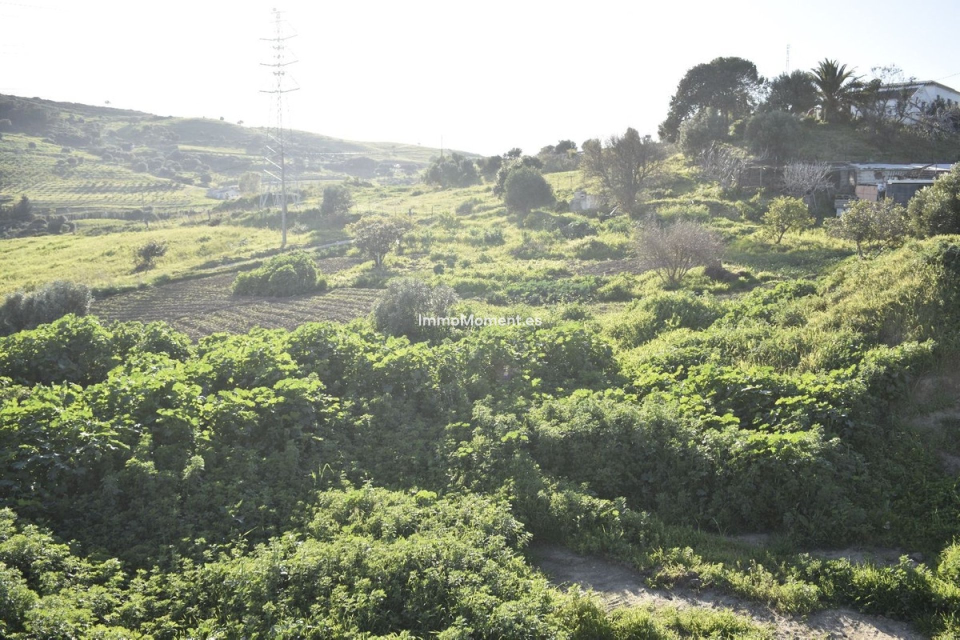 Reventa - Casa de campo - Casares - Casares Centro
