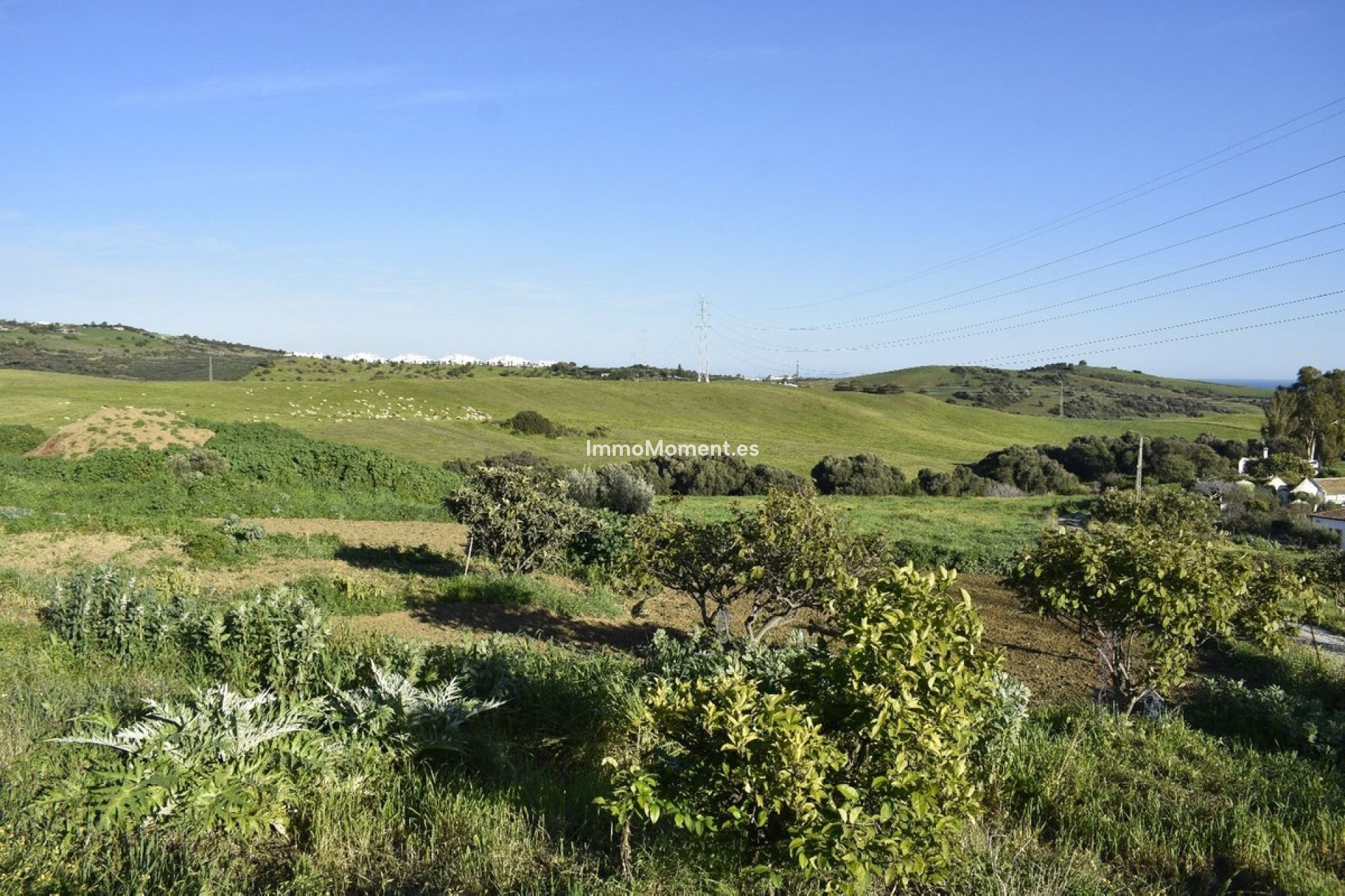 Reventa - Casa de campo - Casares - Casares Centro