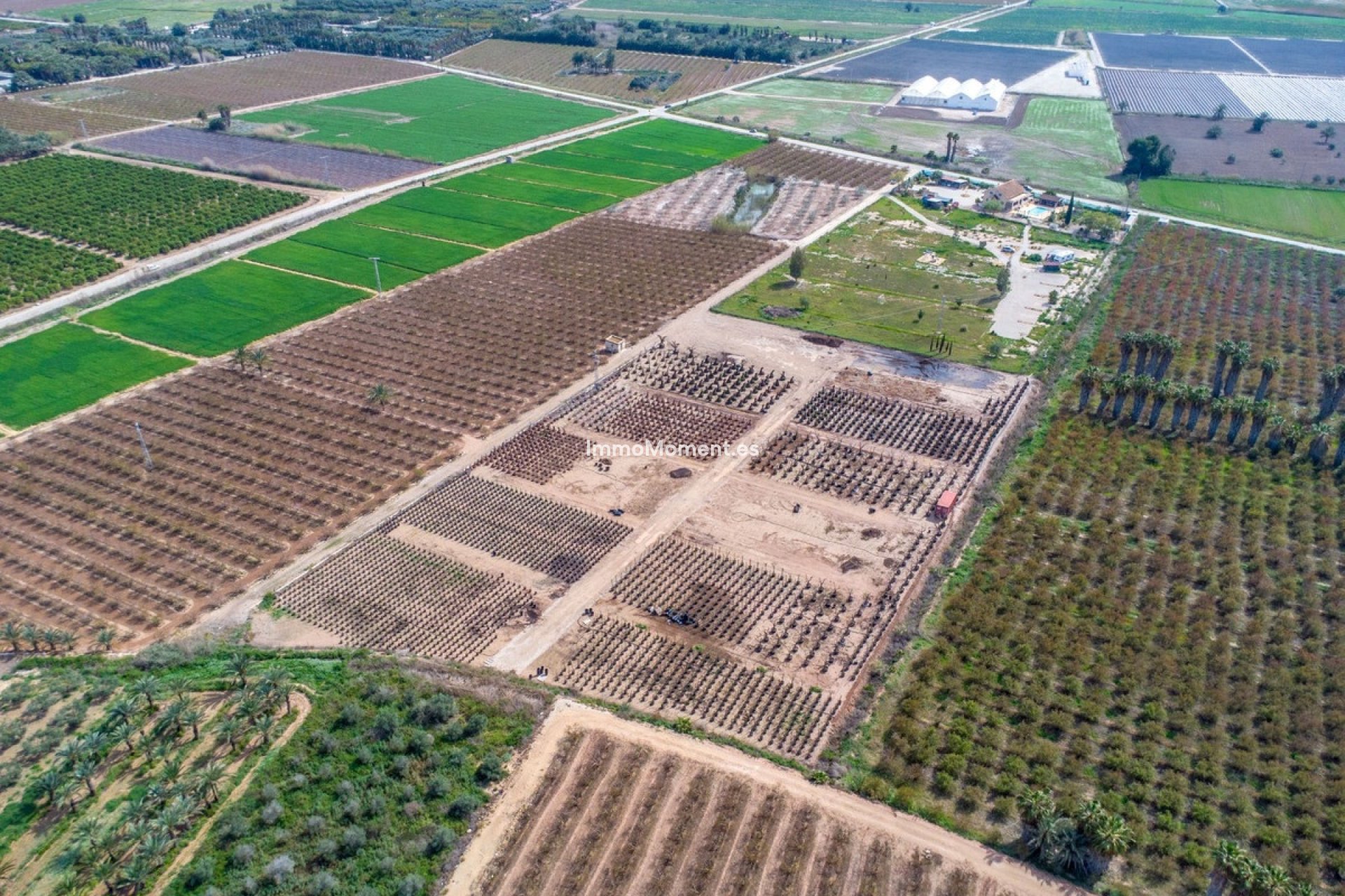 Reventa - Casa de campo - Crevillente - Crevillente - Crevillent Centro