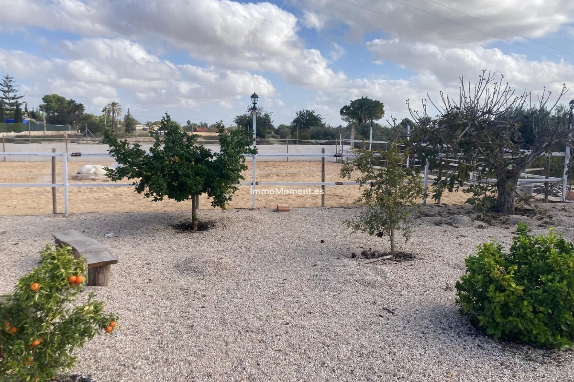 Reventa - Casa de campo - Crevillente - Crevillente - Crevillent Centro