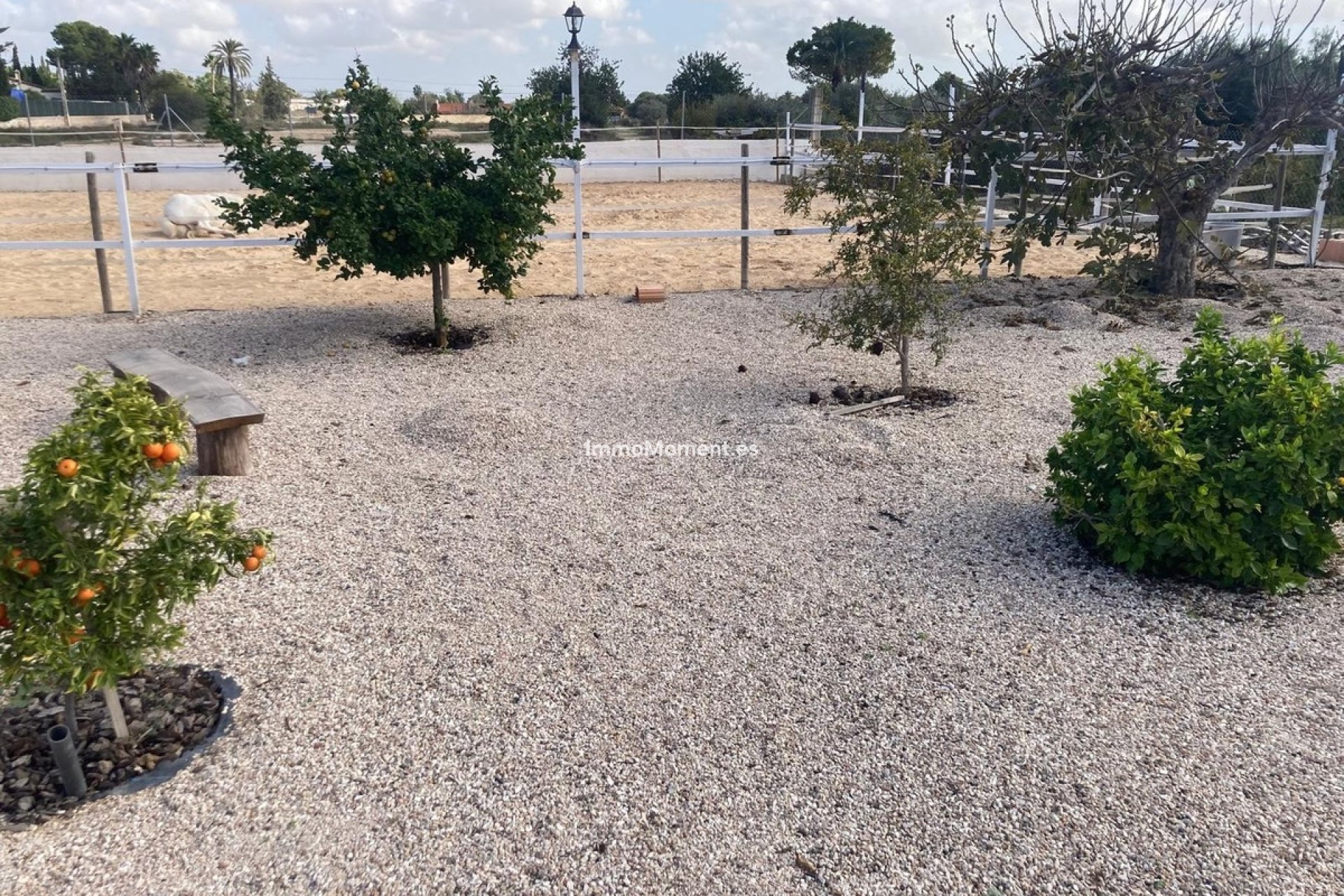 Reventa - Casa de campo - Crevillente - Crevillente - Crevillent Centro