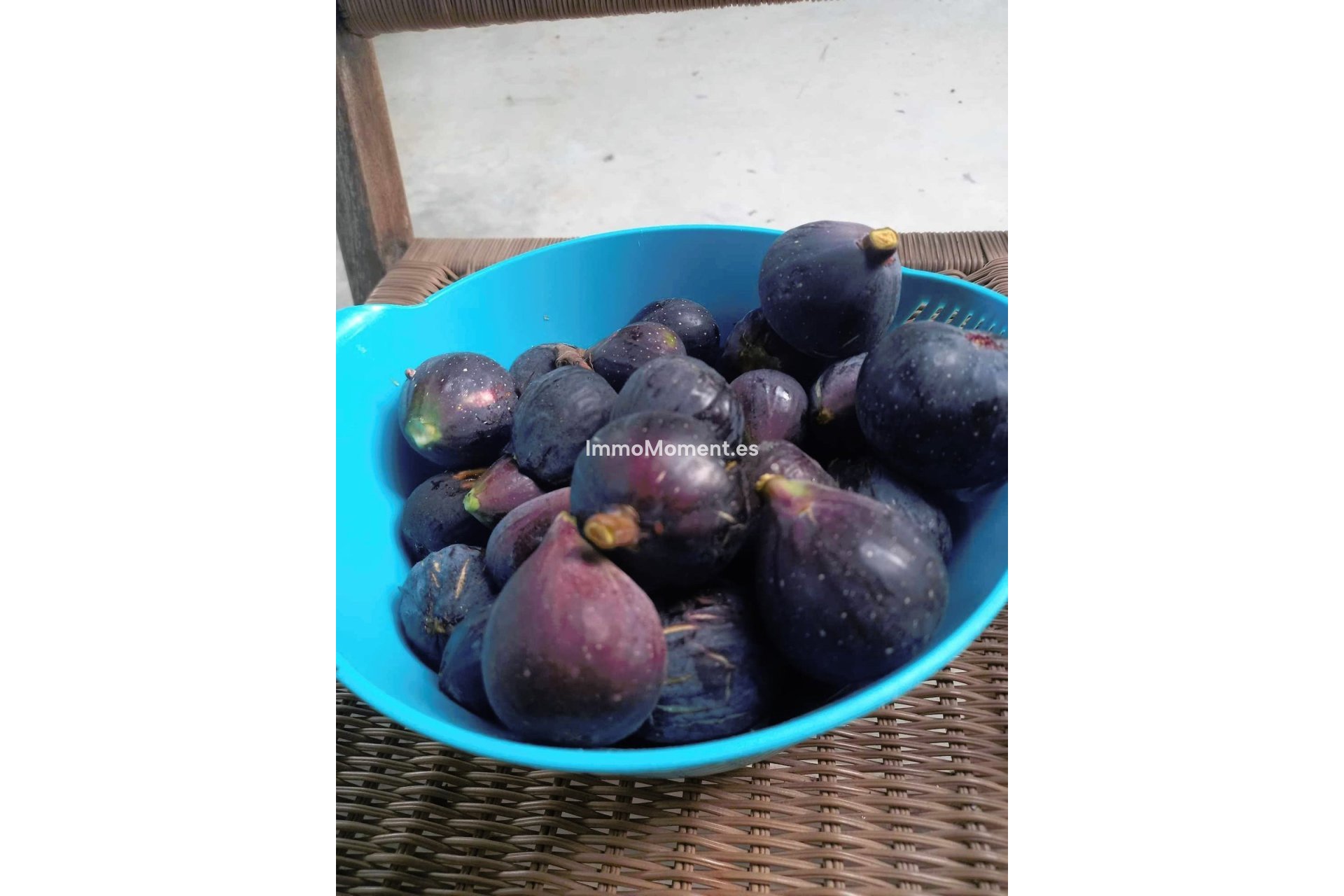 Reventa - Casa de campo - Dolores - Dolores Centro