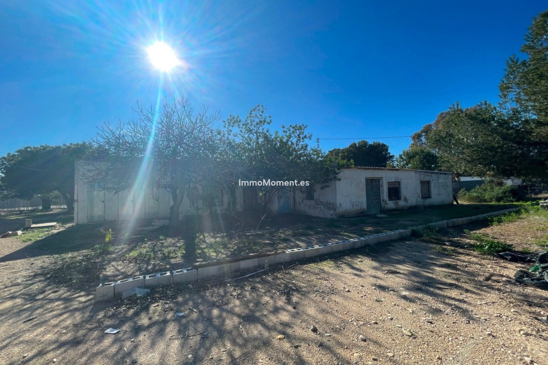 Reventa - Casa de campo - Elche - Elche Centro