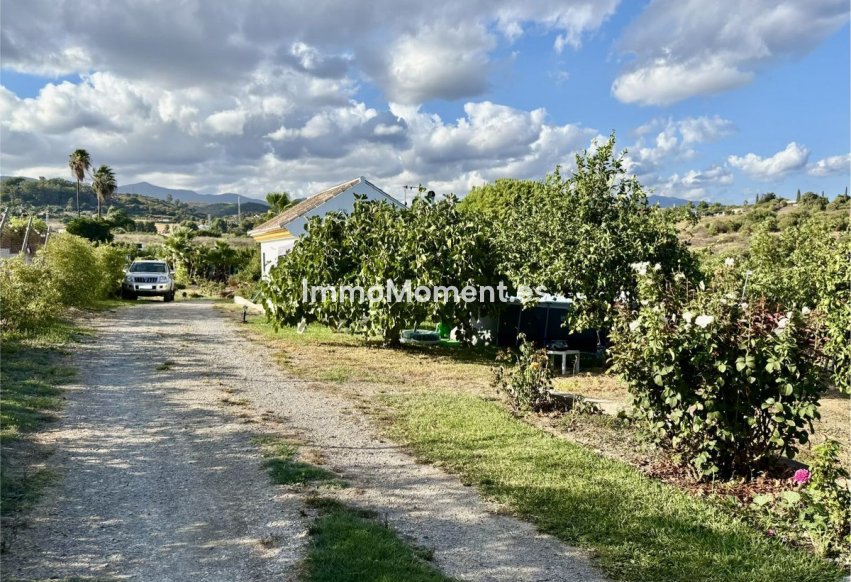 Reventa - Casa de campo - Estepona  - El Padron