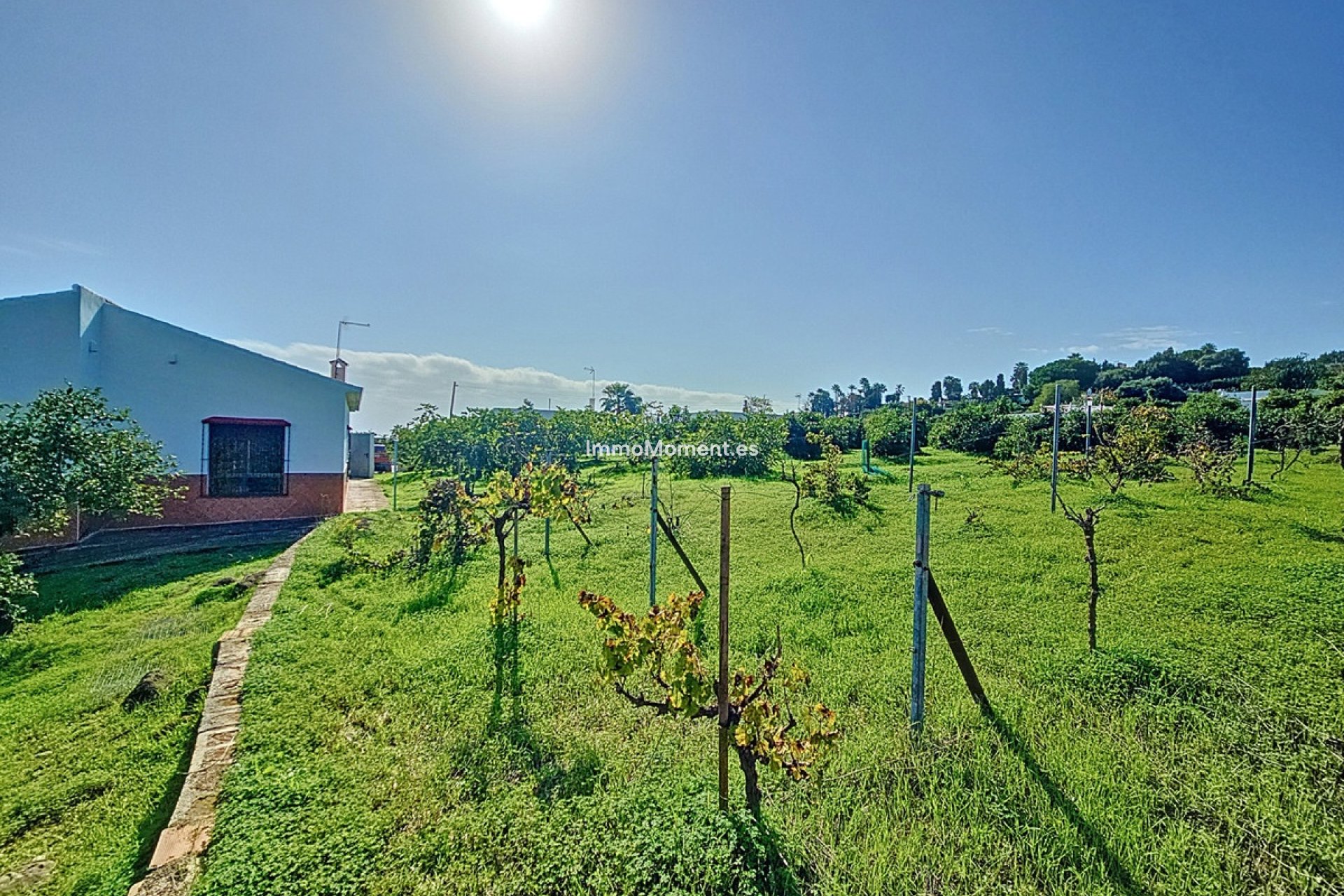 Reventa - Casa de campo - Estepona  - El Padron