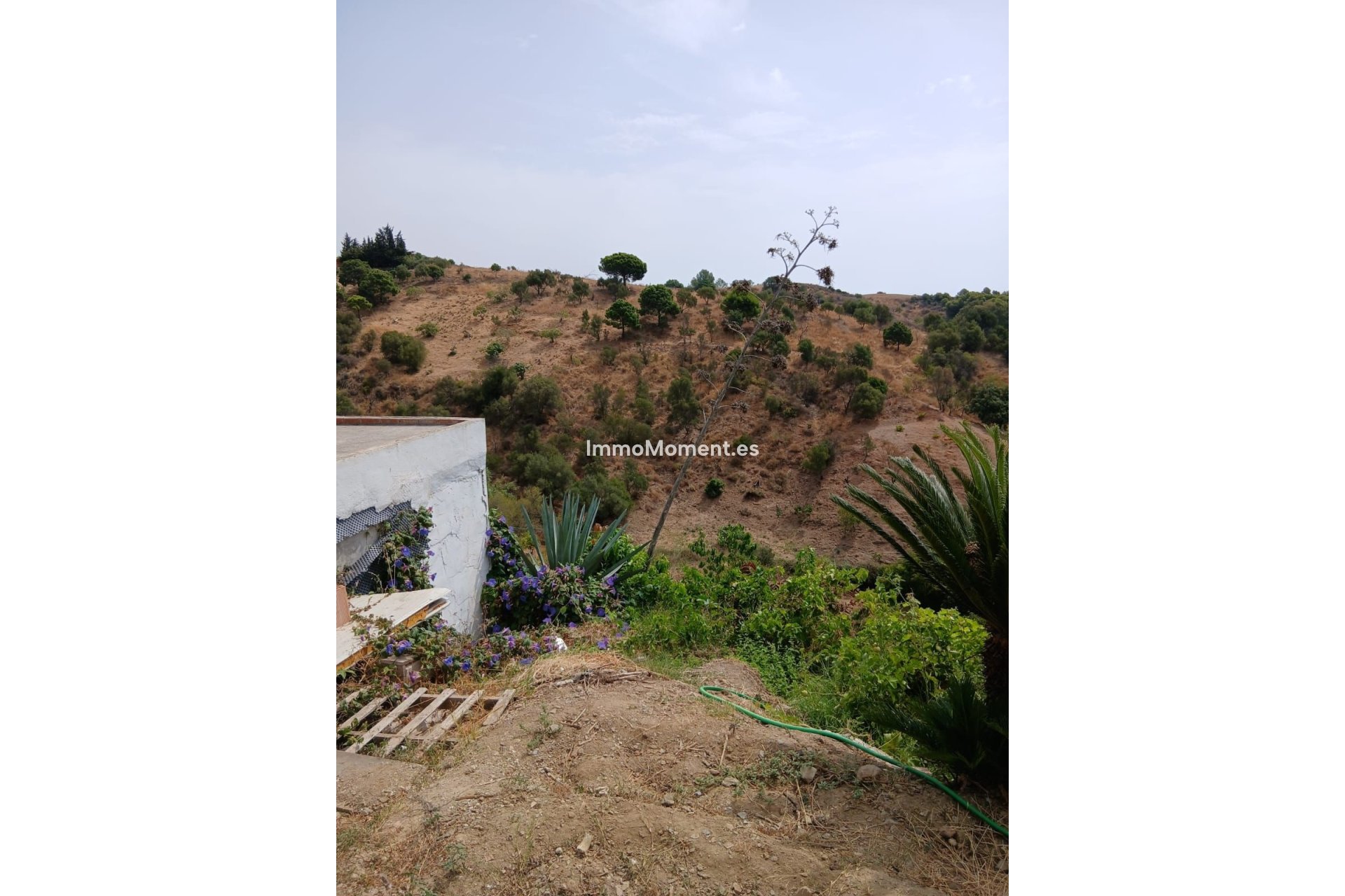 Reventa - Casa de campo - Estepona  - Estepona Centro