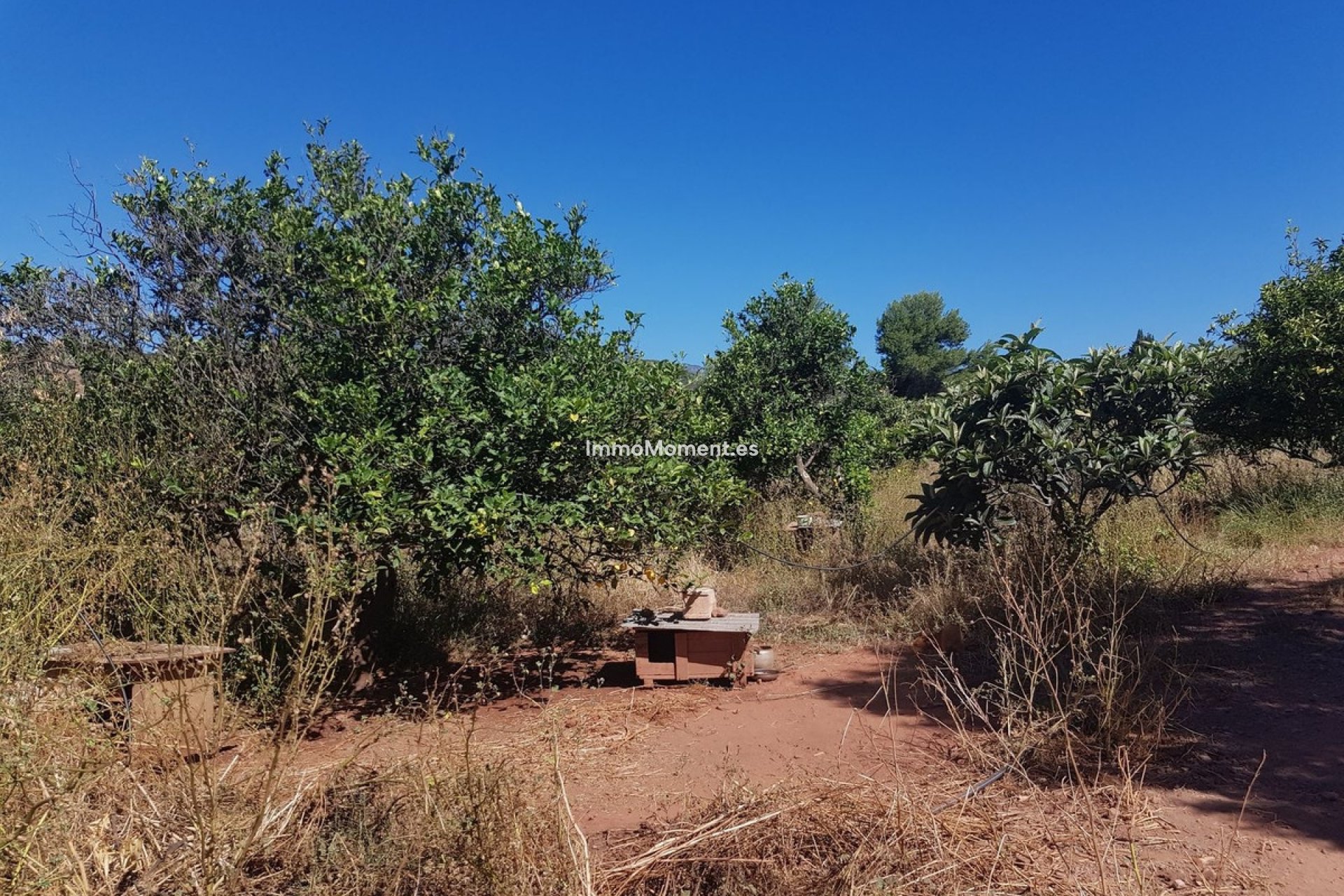 Reventa - Casa de campo - Estepona  - Estepona Centro