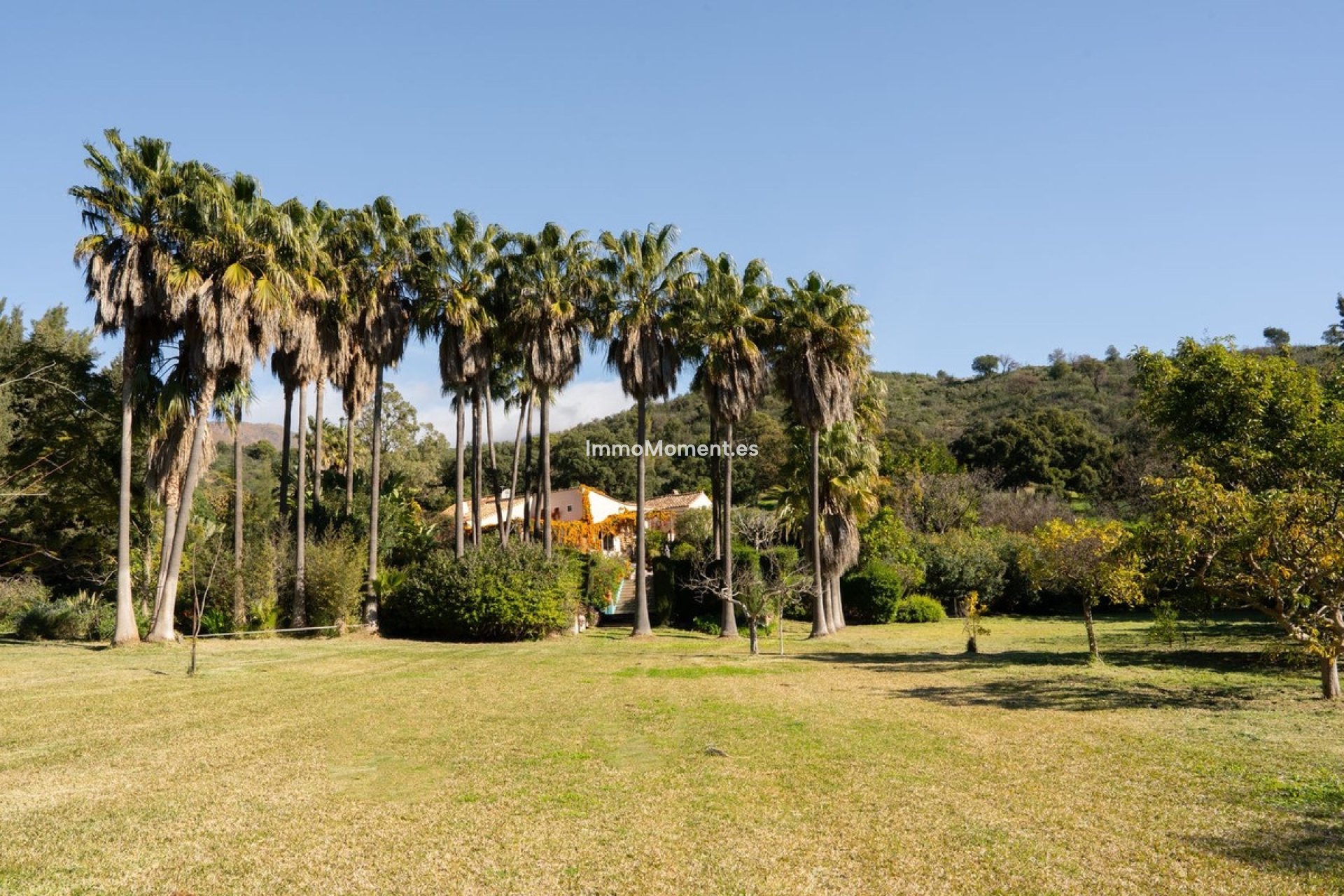 Reventa - Casa de campo - Estepona  - Estepona Centro