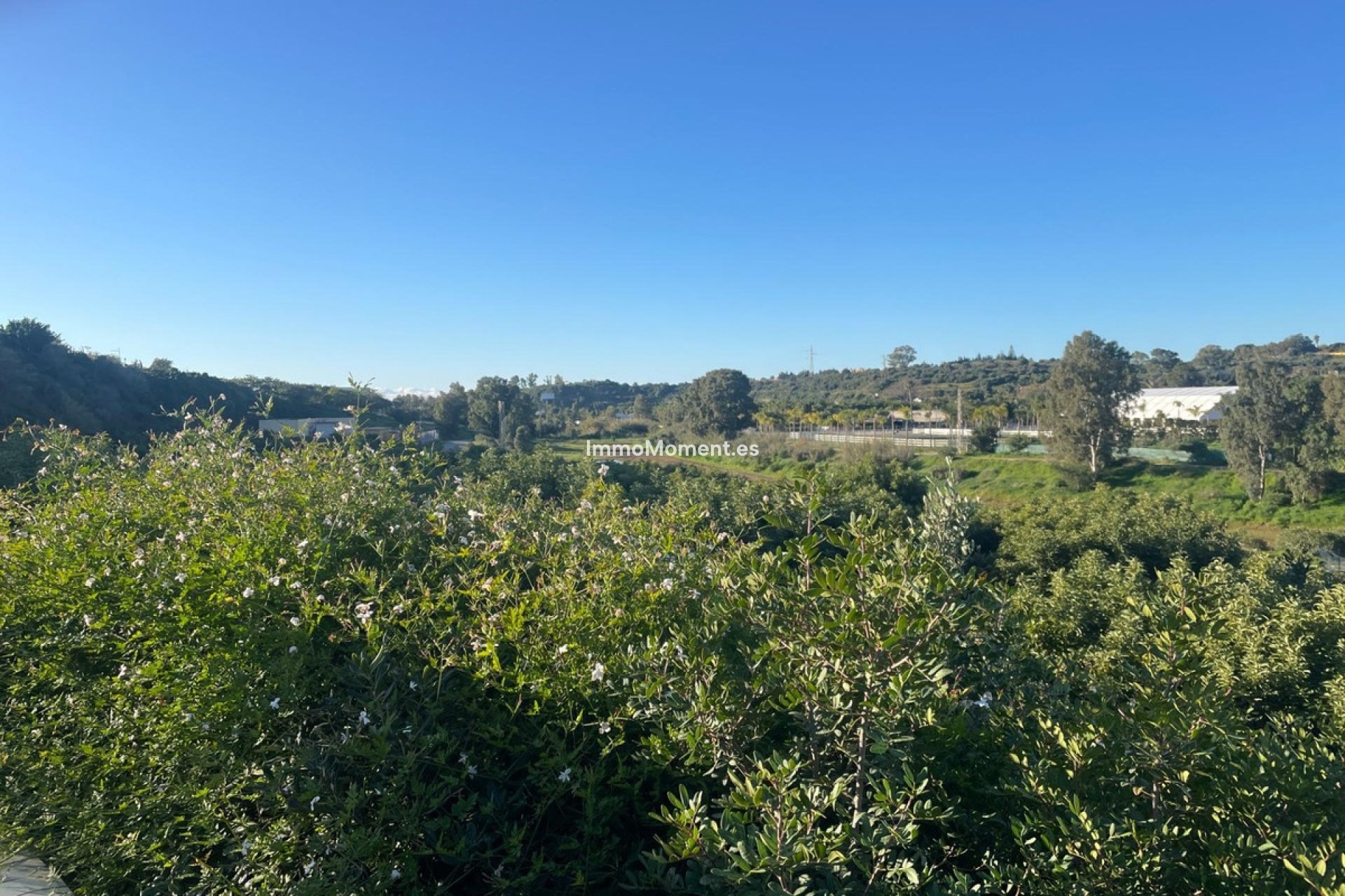 Reventa - Casa de campo - Estepona  - Estepona Centro