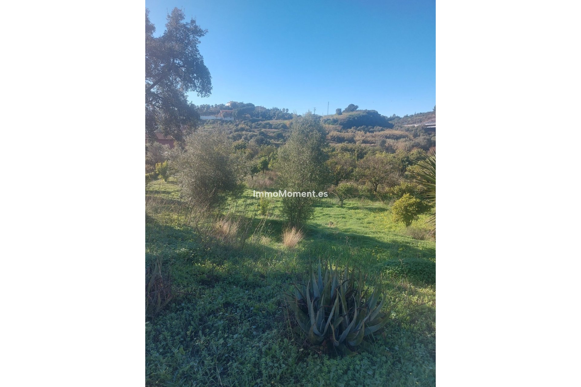 Reventa - Casa de campo - Estepona  - Estepona Centro