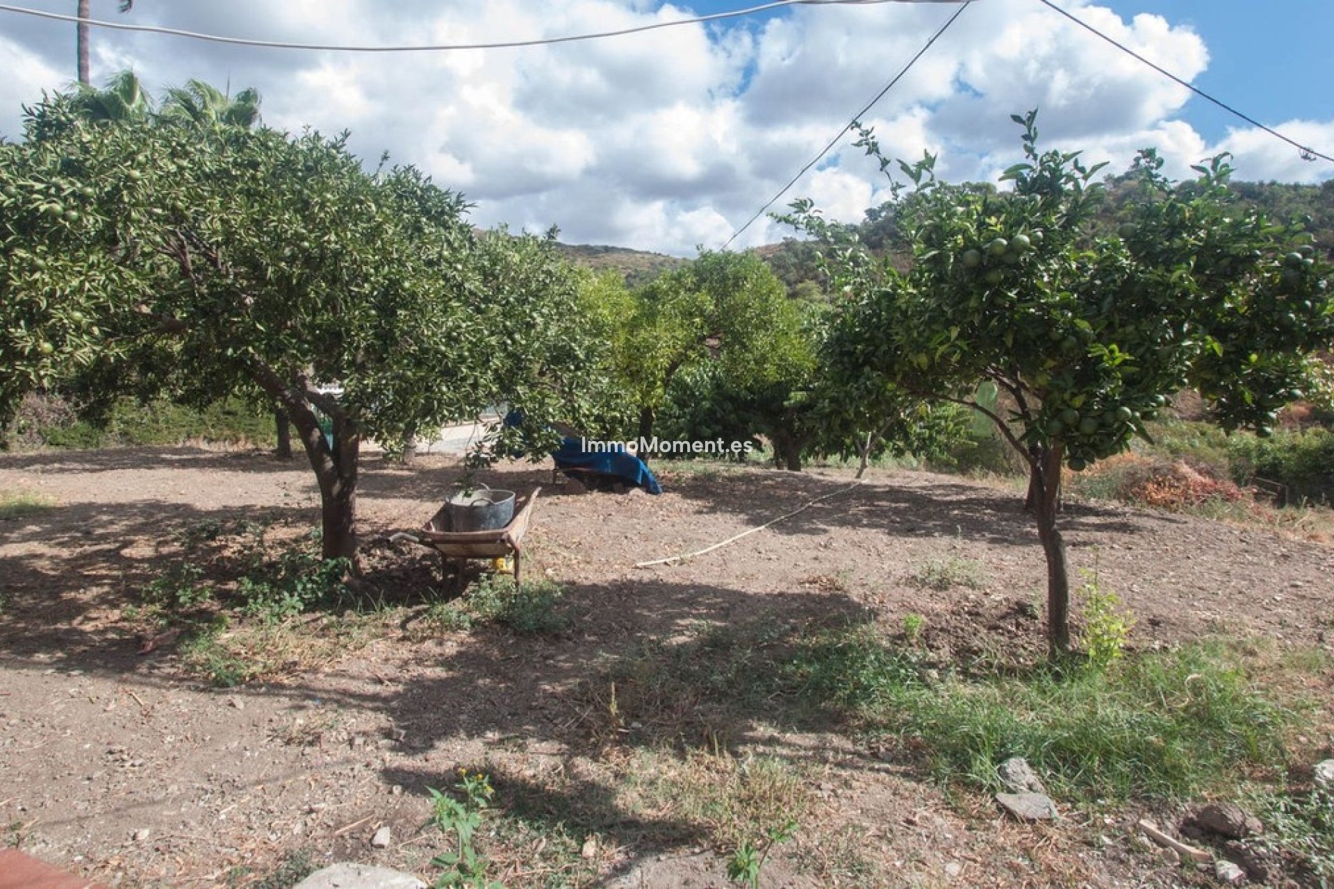 Reventa - Casa de campo - Estepona  - Estepona Centro