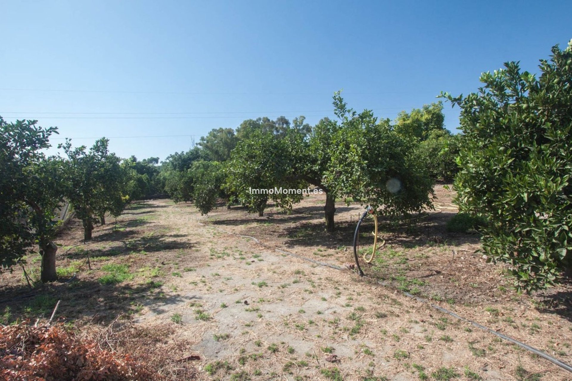Reventa - Casa de campo - Estepona  - Estepona Centro