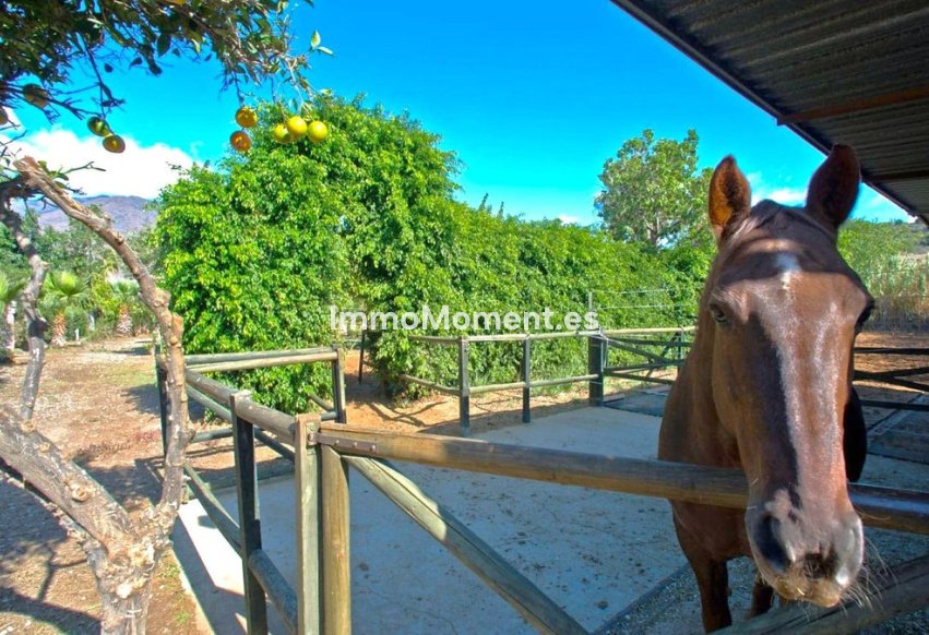 Reventa - Casa de campo - Estepona  - Estepona Centro