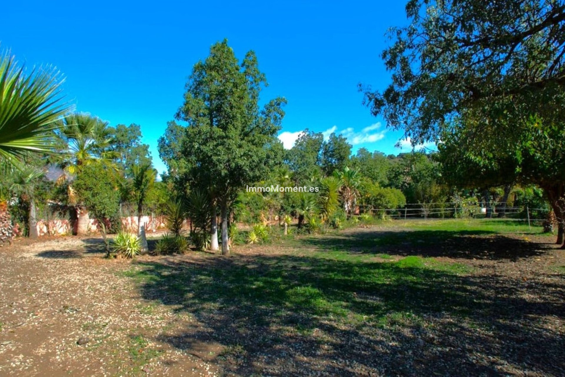 Reventa - Casa de campo - Estepona  - Estepona Centro