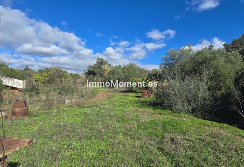 Reventa - Casa de campo - Estepona  - Estepona Centro