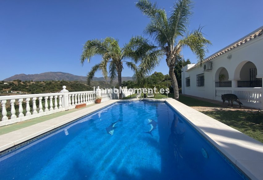 Reventa - Casa de campo - Estepona  - Estepona Centro