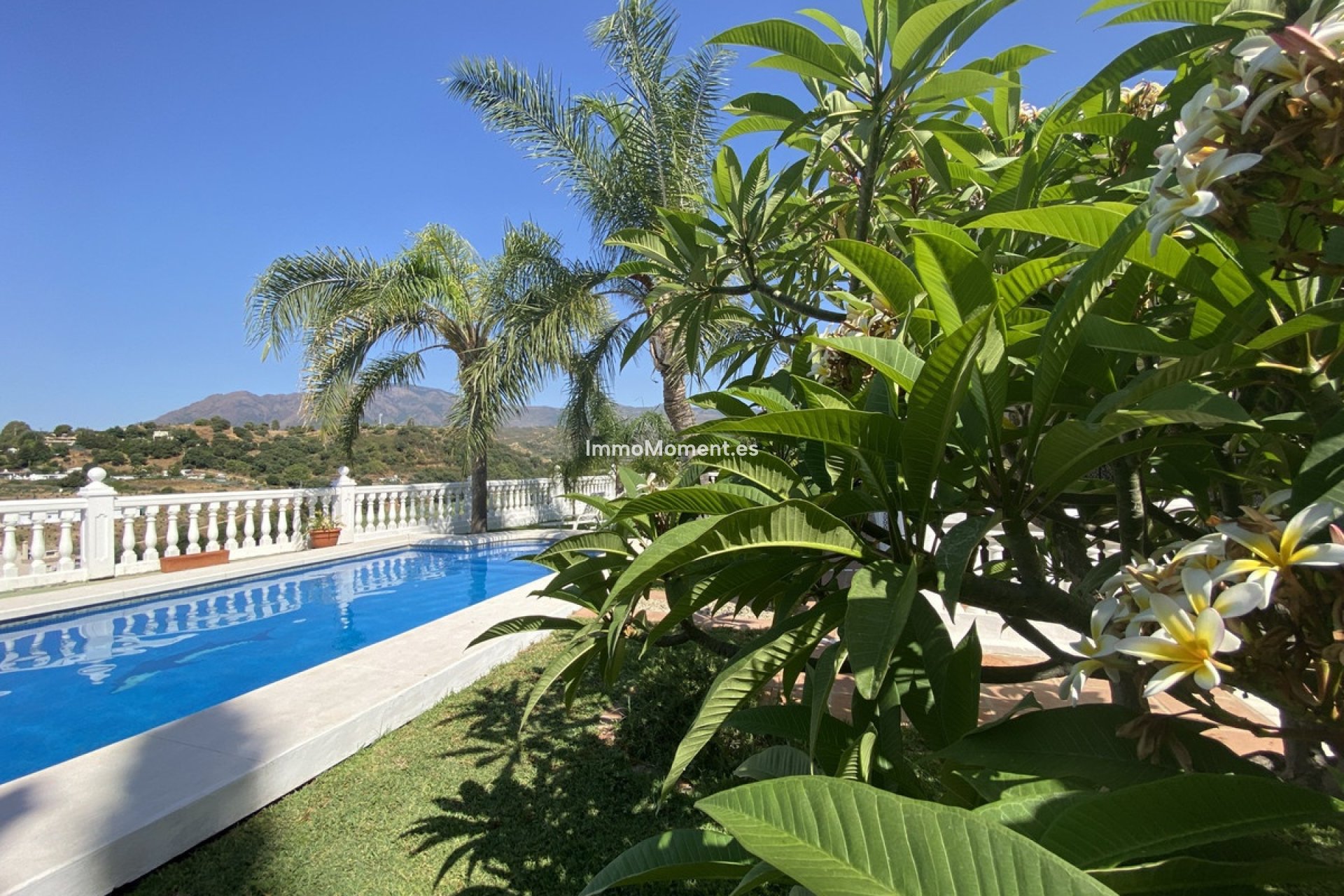 Reventa - Casa de campo - Estepona  - Estepona Centro