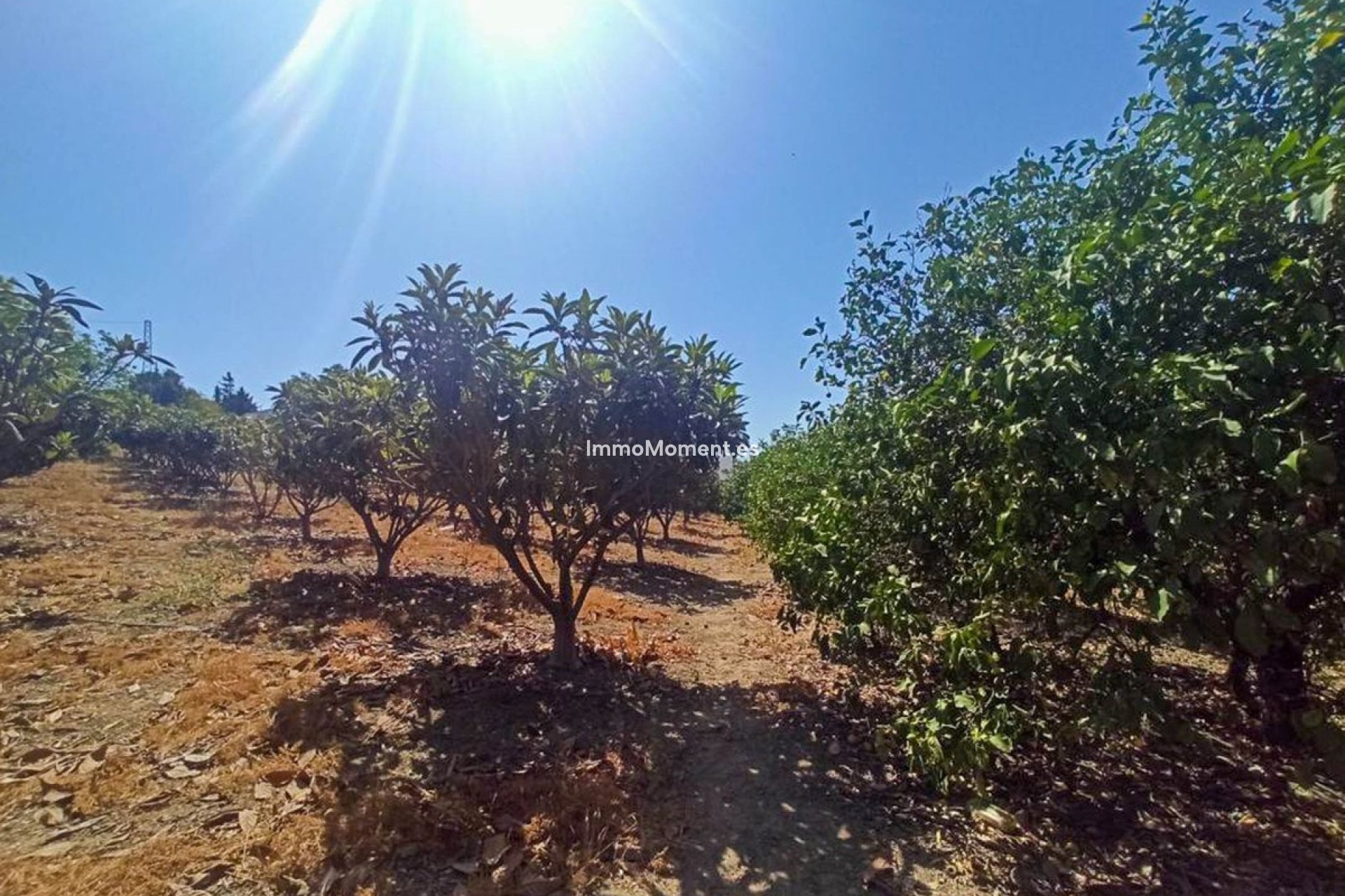 Reventa - Casa de campo - Estepona  - Estepona Centro