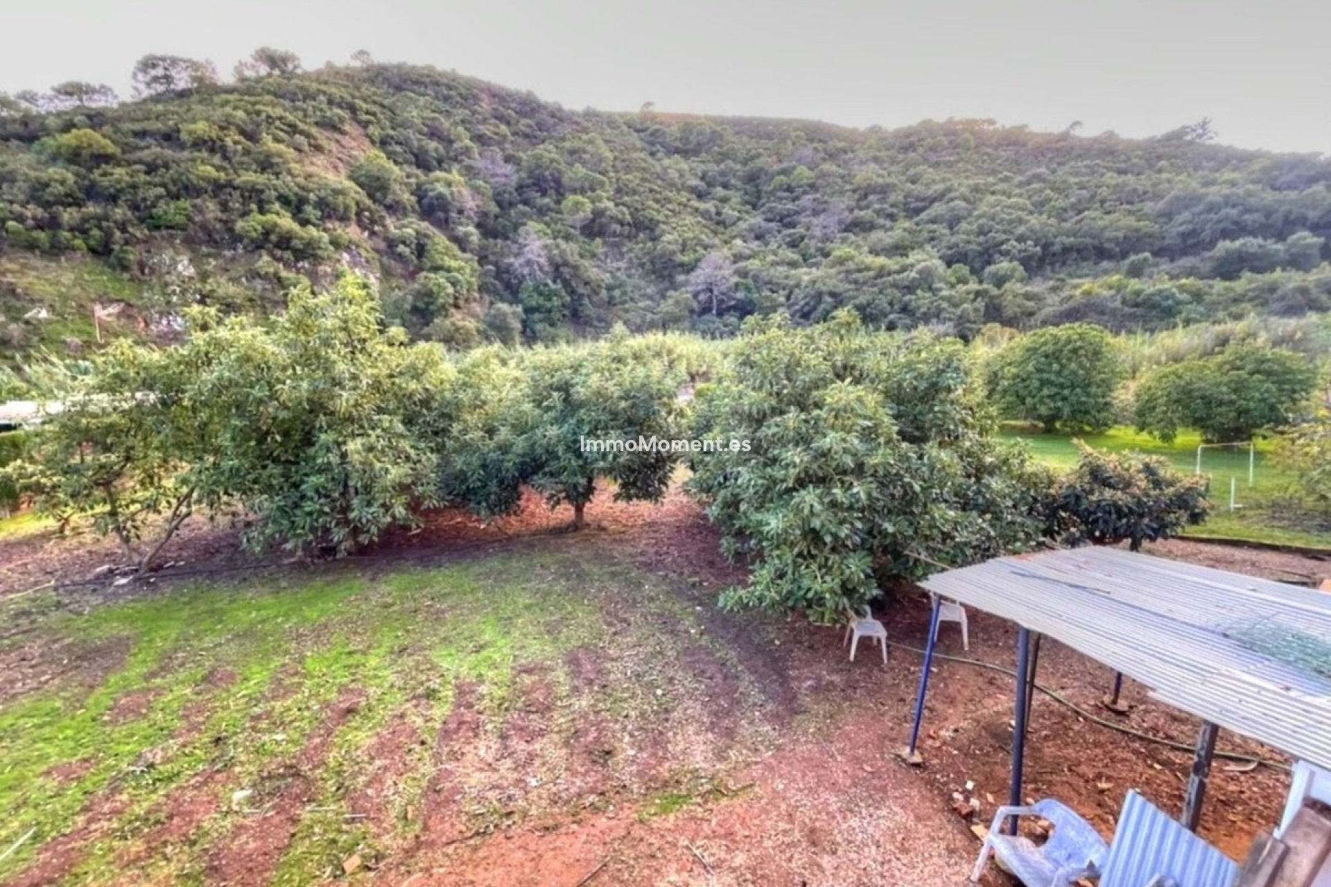 Reventa - Casa de campo - Estepona  - Estepona Centro