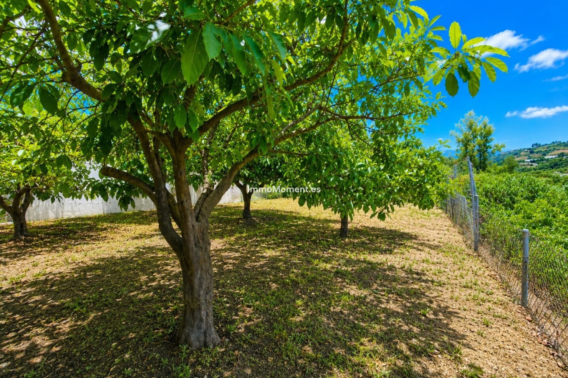 Reventa - Casa de campo - Estepona  - Estepona Centro