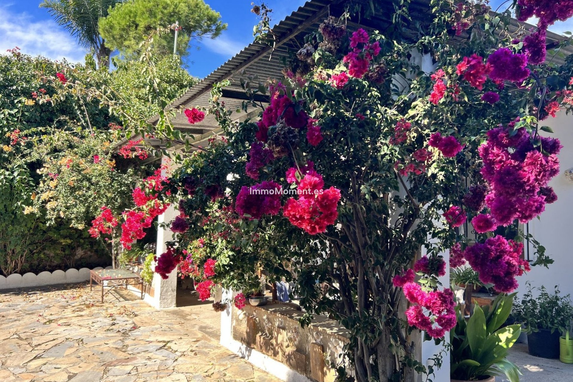 Reventa - Casa de campo - Estepona  - New Golden Mile