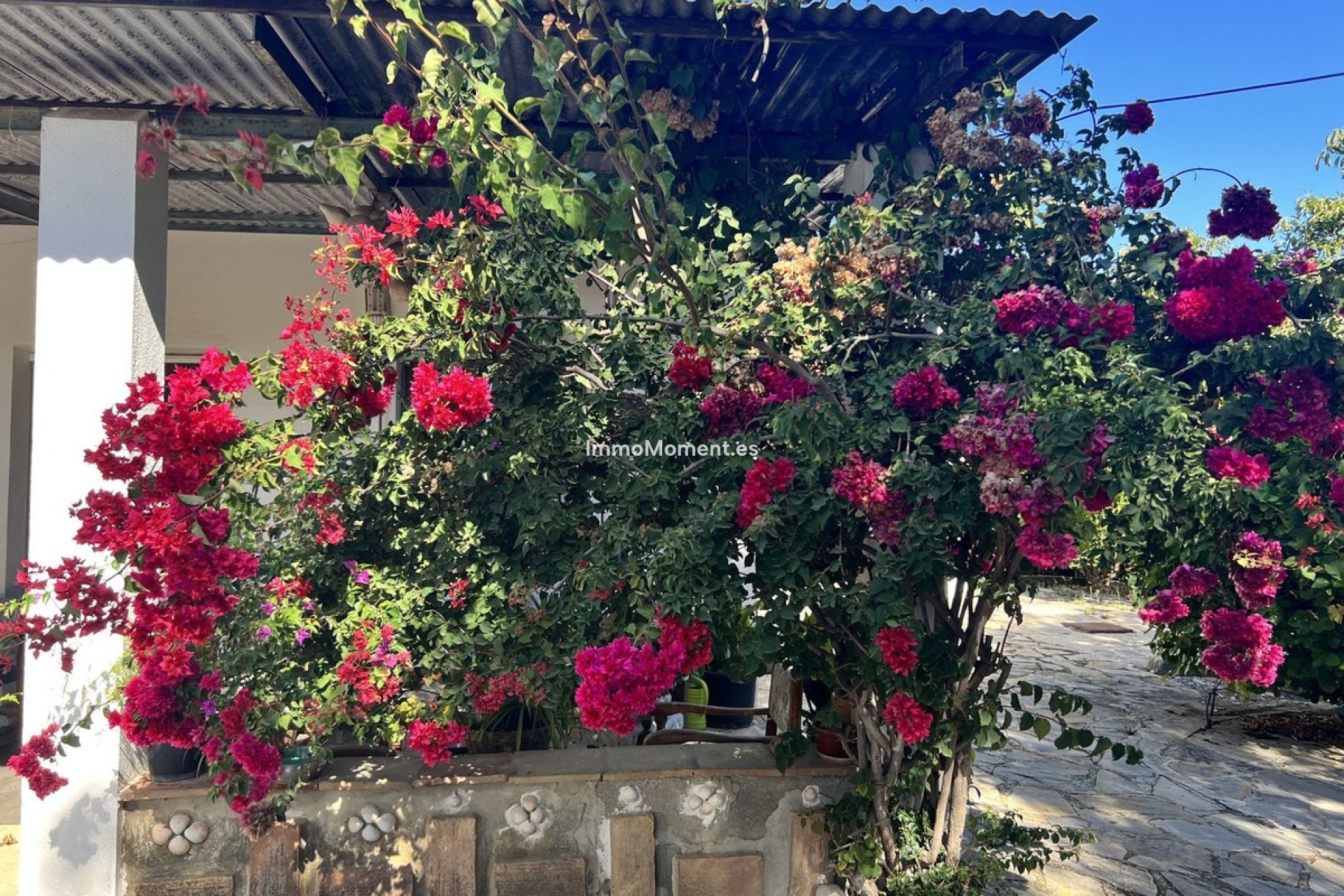 Reventa - Casa de campo - Estepona  - New Golden Mile