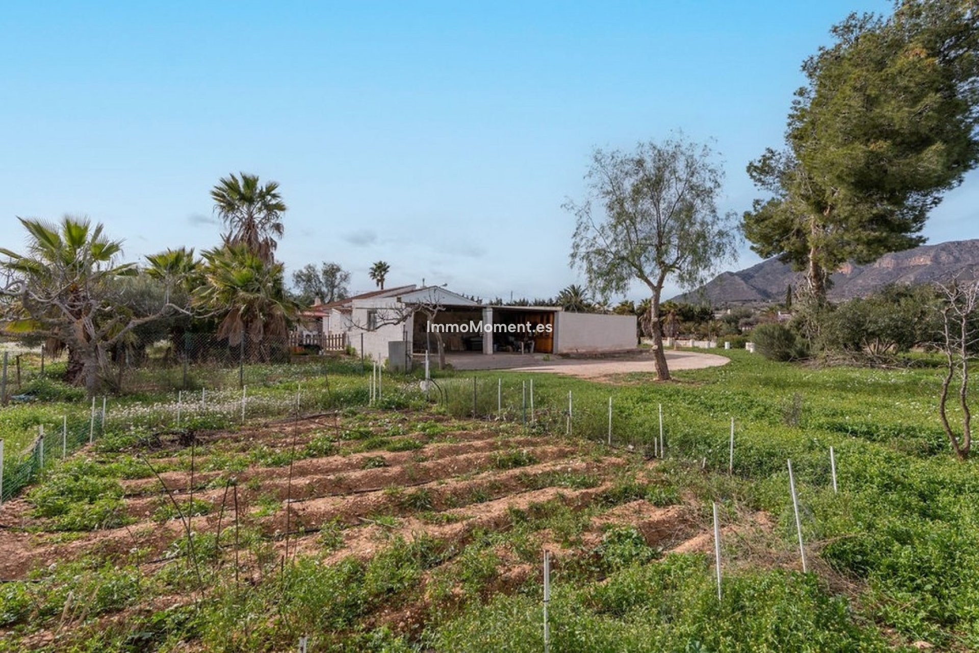Reventa - Casa de campo - Hondón de las Nieves - Hondón de las Nieves Centro