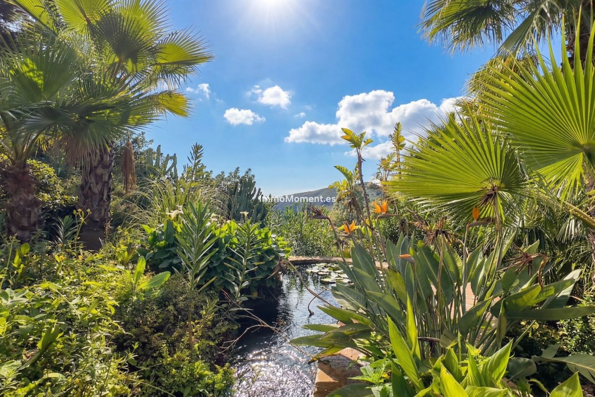 Reventa - Casa de campo - Interior  - Alhaurín el Grande Centro