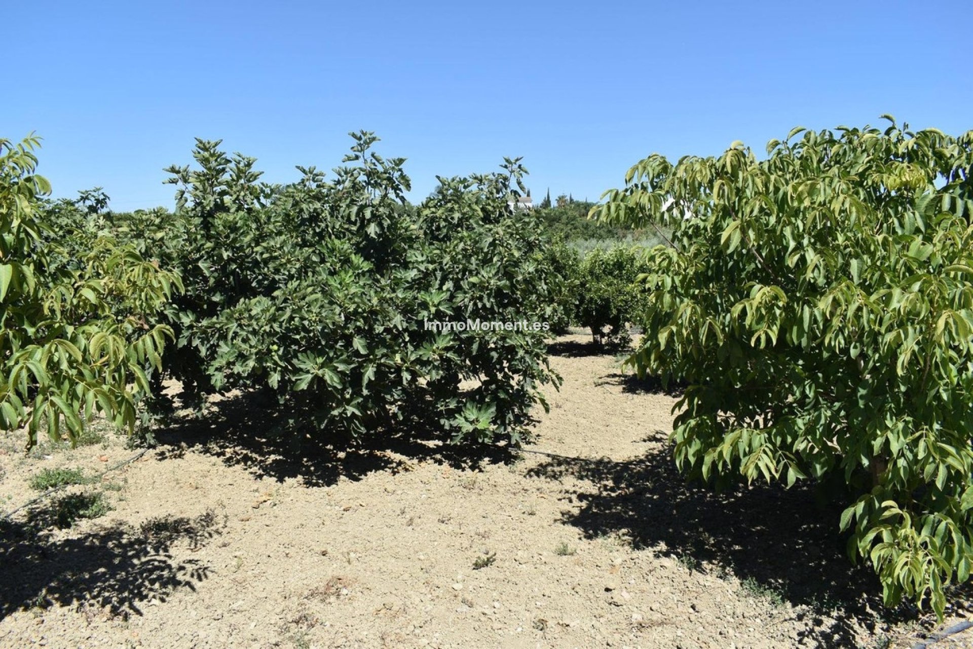 Reventa - Casa de campo - Interior  - Alhaurín el Grande Centro