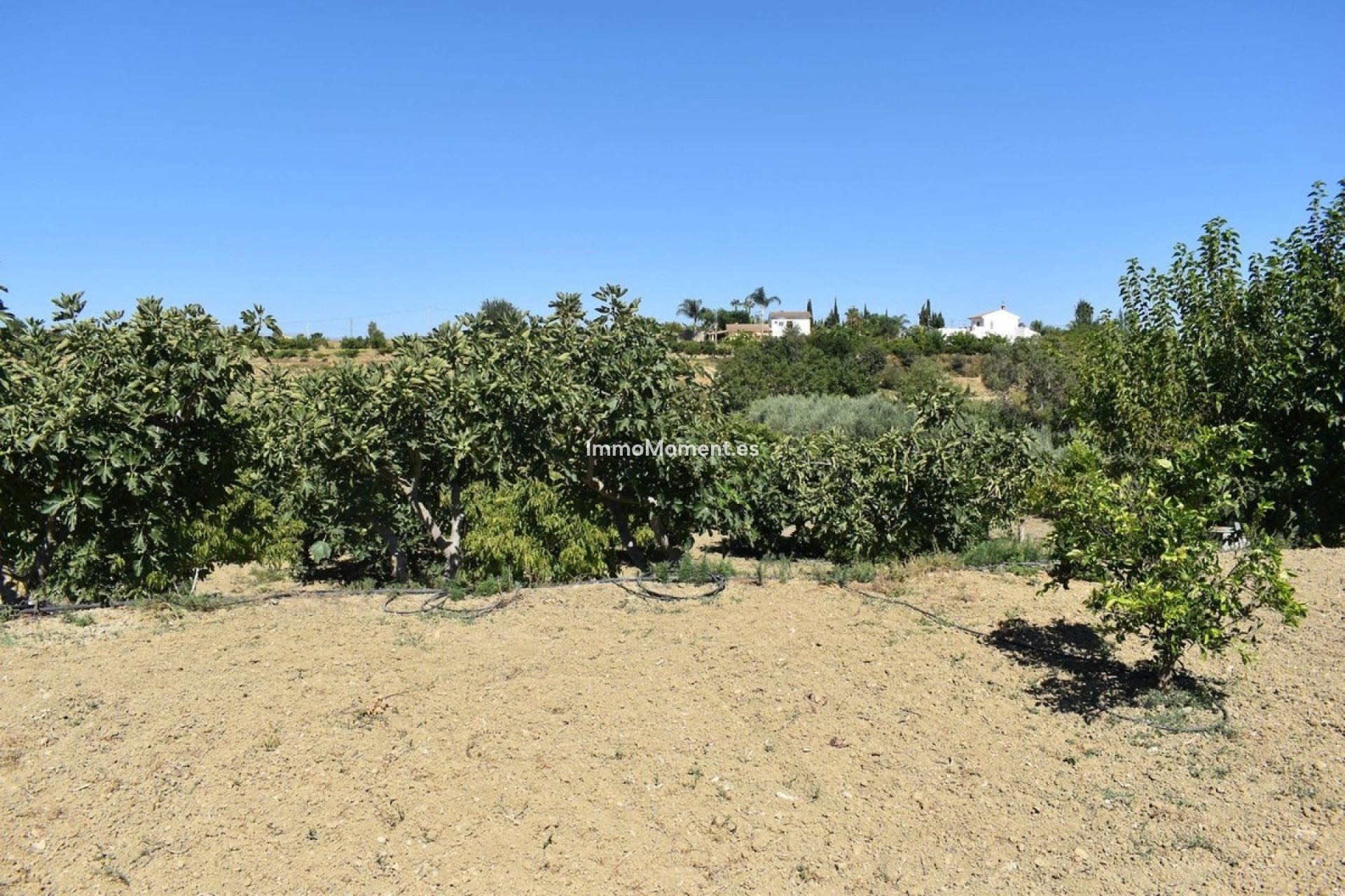 Reventa - Casa de campo - Interior  - Alhaurín el Grande Centro