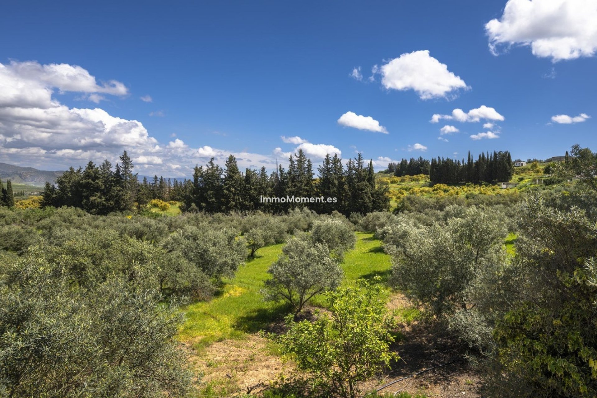 Reventa - Casa de campo - Interior  - Alhaurín el Grande Centro