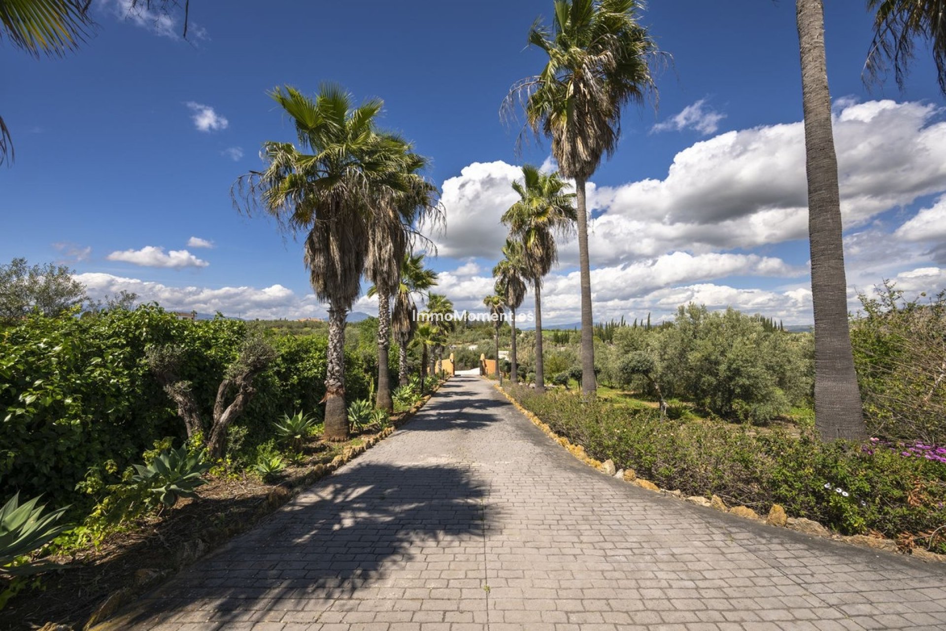 Reventa - Casa de campo - Interior  - Alhaurín el Grande Centro
