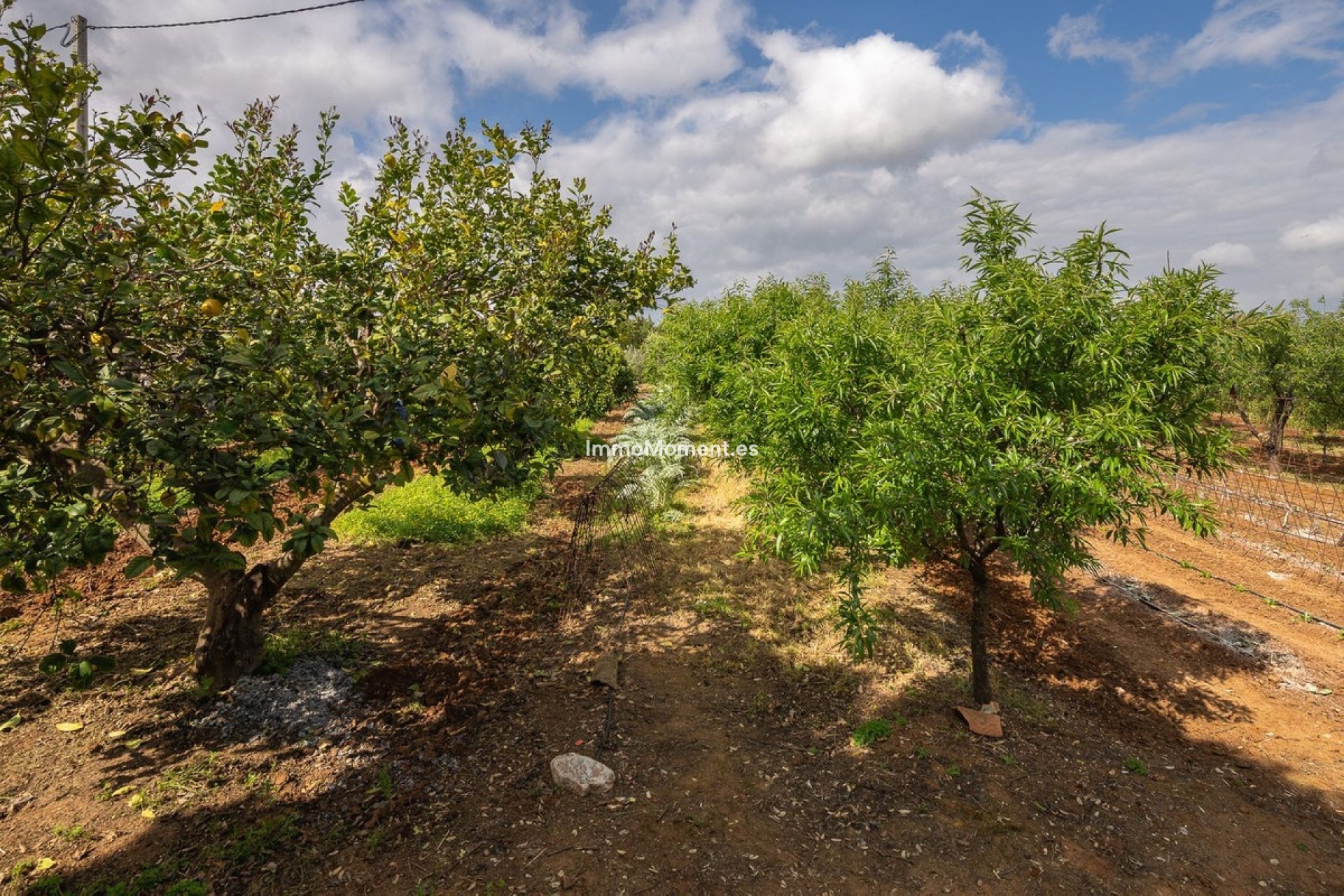 Reventa - Casa de campo - Interior  - Alhaurín el Grande Centro