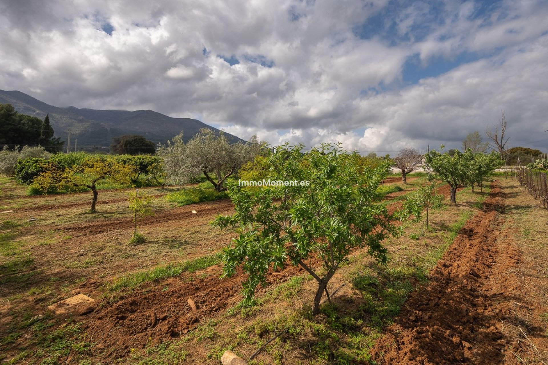 Reventa - Casa de campo - Interior  - Alhaurín el Grande Centro